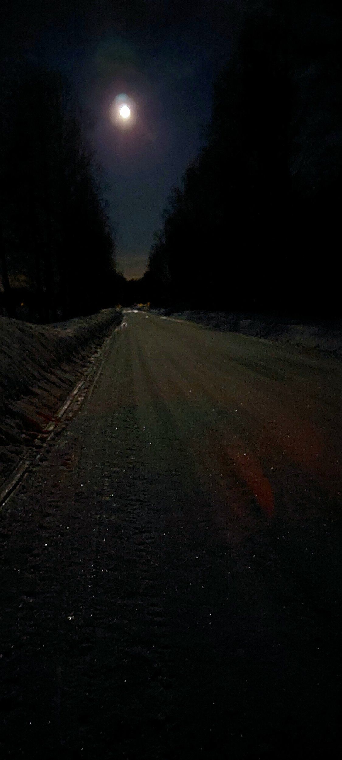 20210228_081915.jpg
