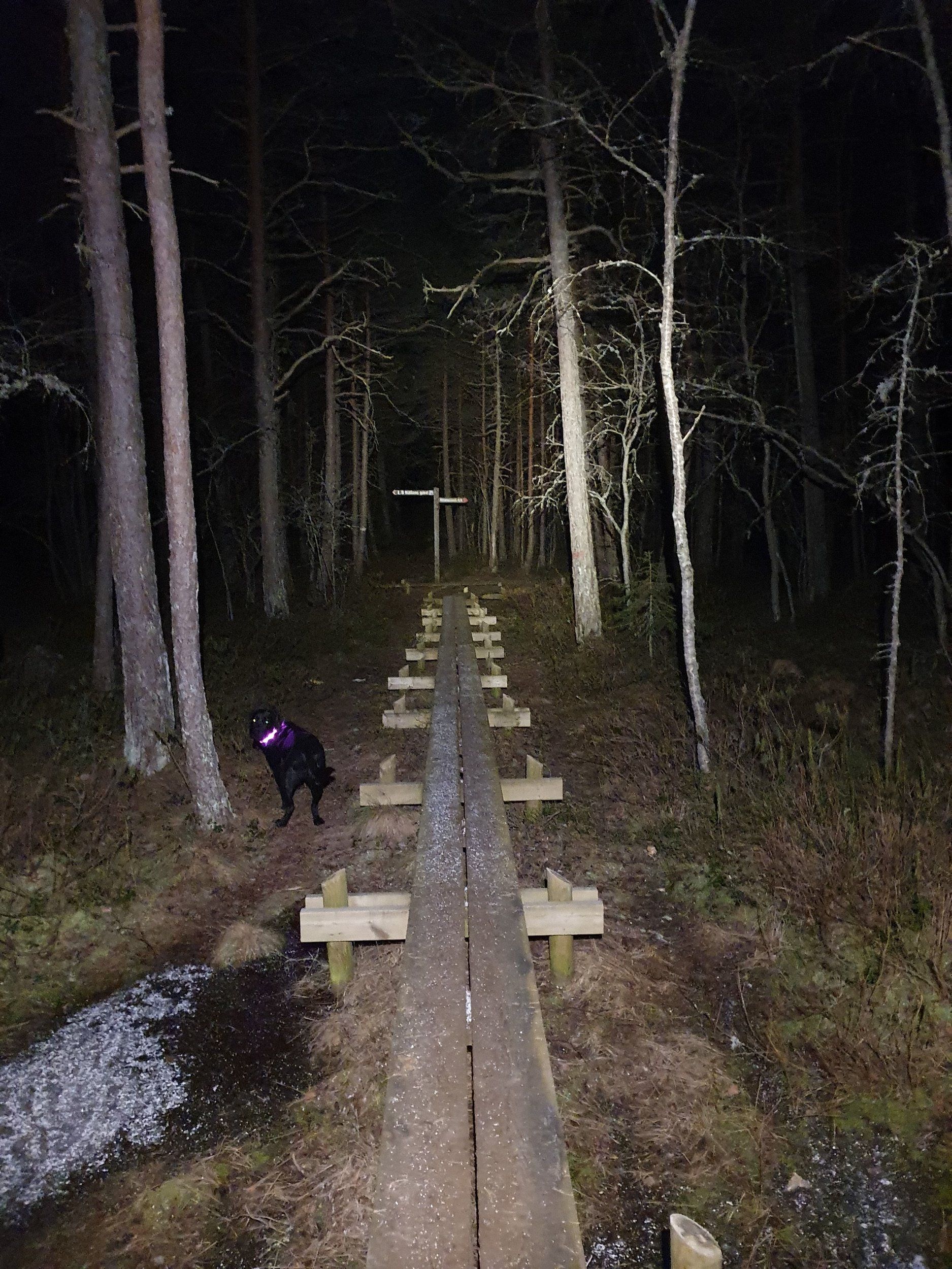 20210304_210648.jpg