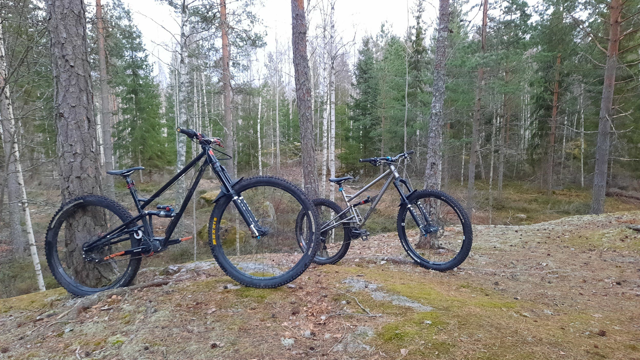 20210309_173928.jpg