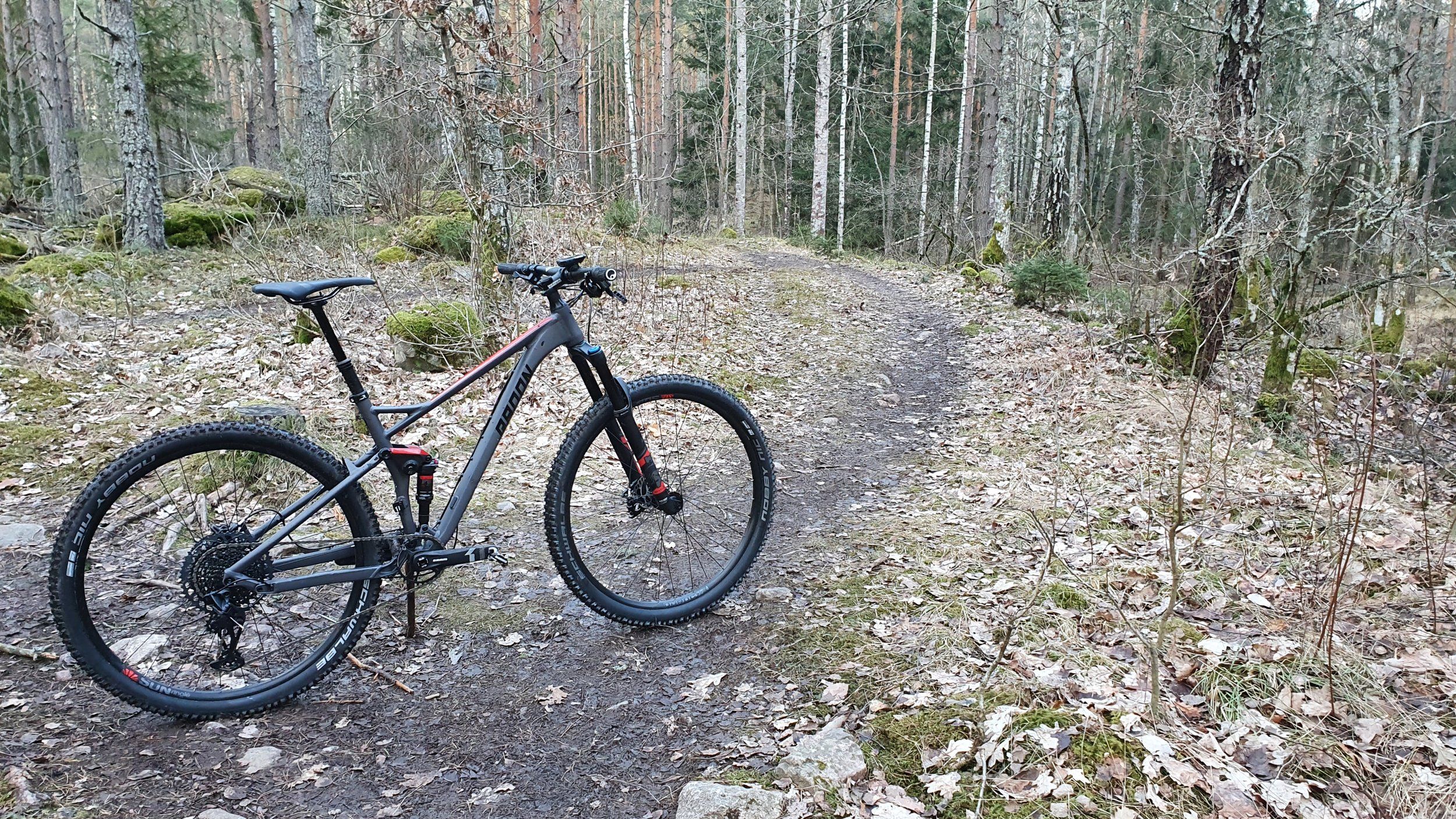 20210317_171737.jpg
