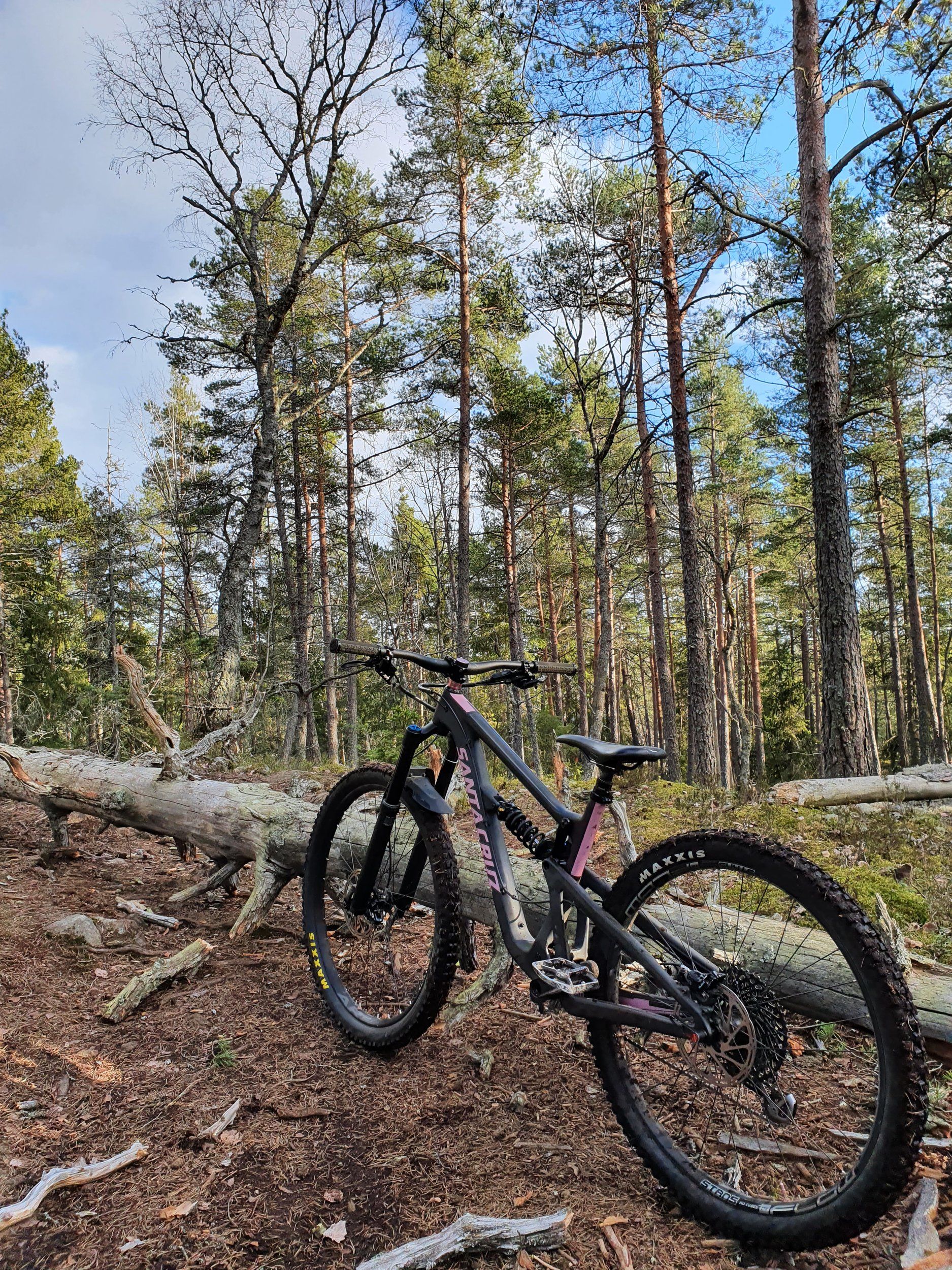 20210321_154825.jpg