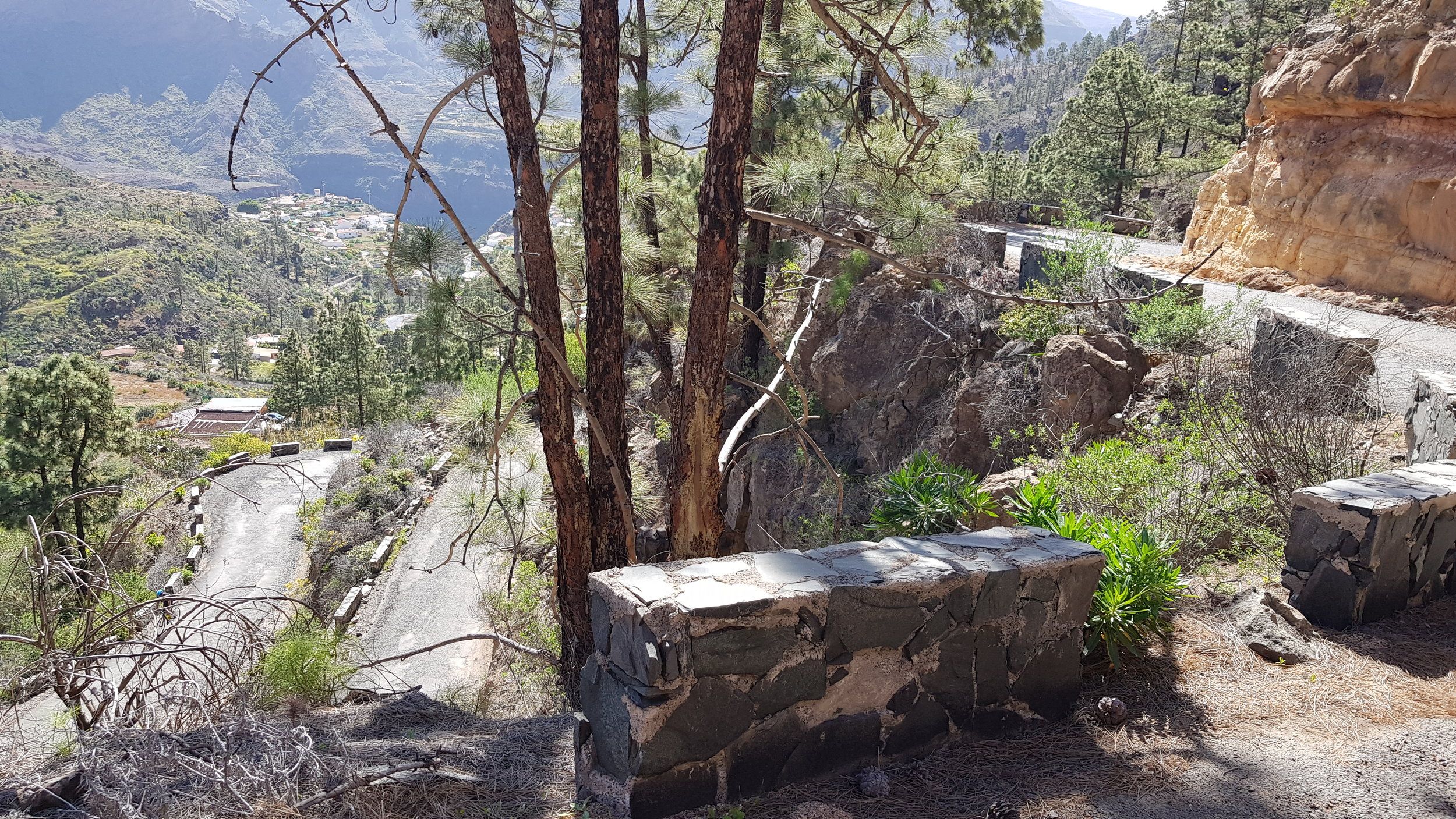 20210323_104018.jpg