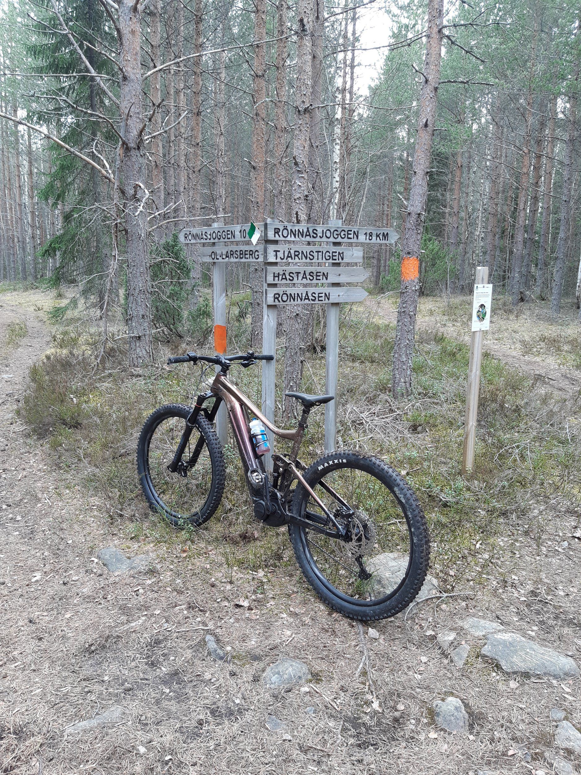 20210411_160413.jpg
