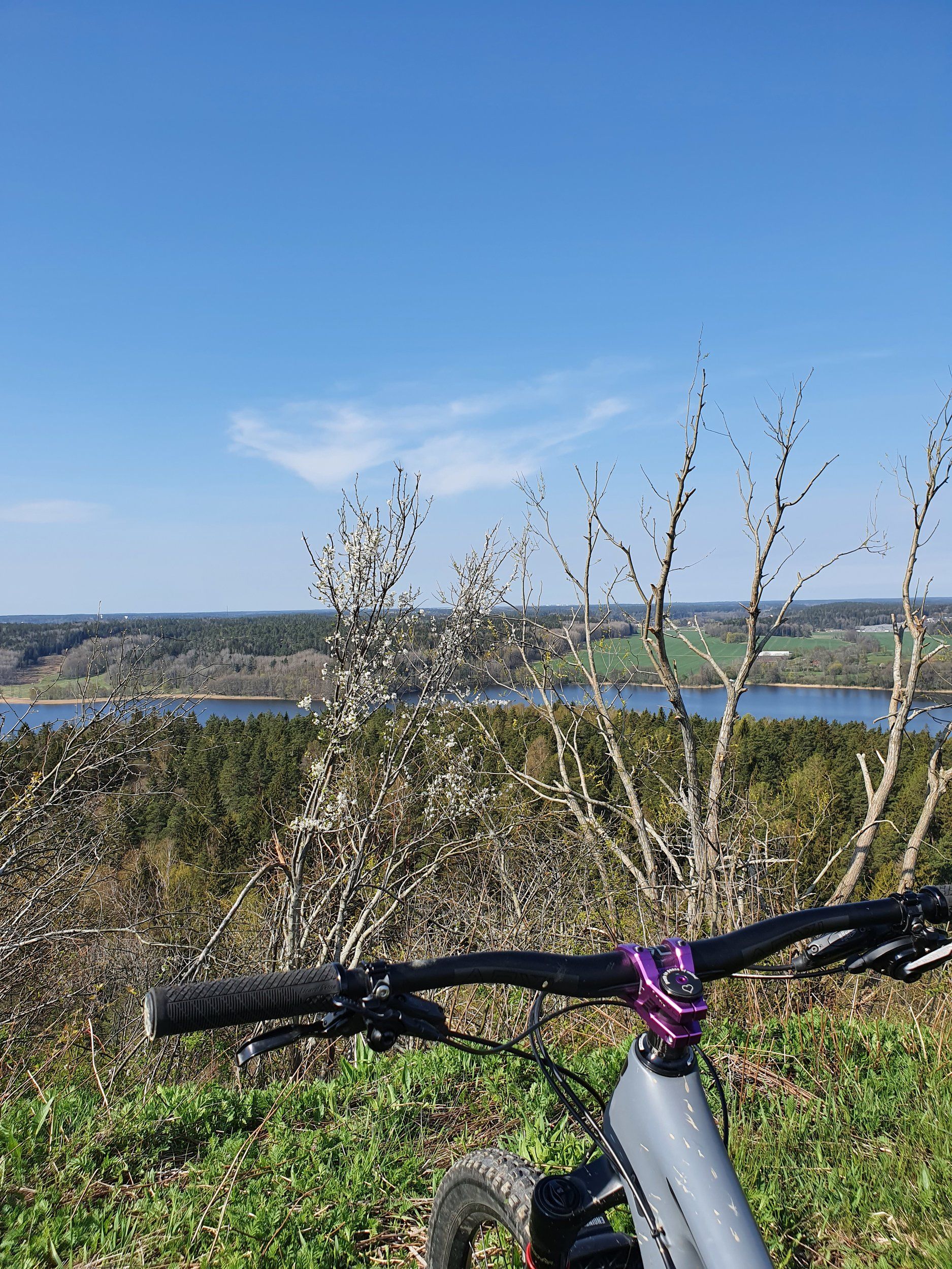 20210511_095719.jpg