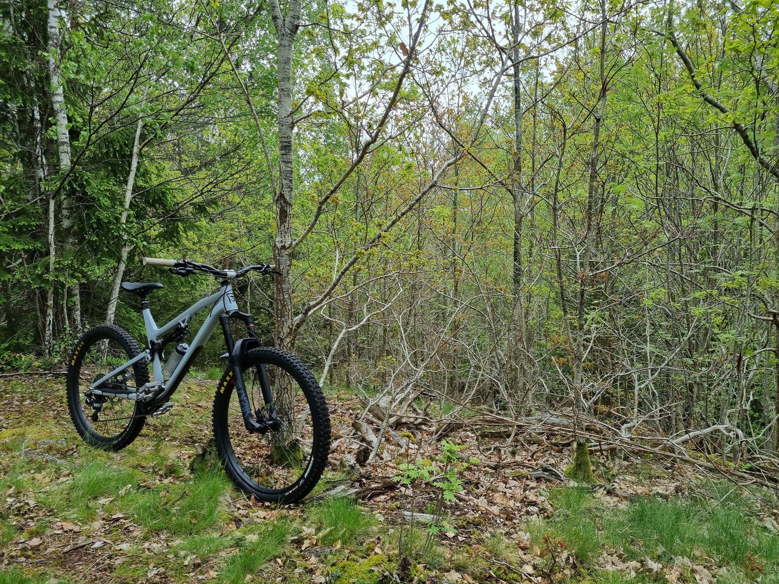 20210527_101131.jpg