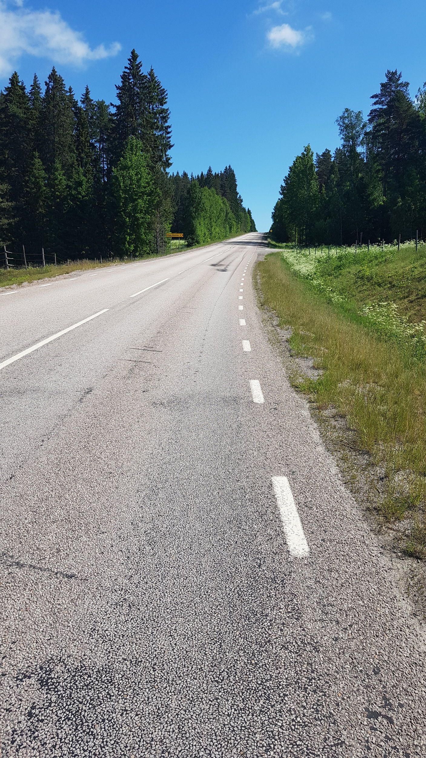 20210609_103236.jpg