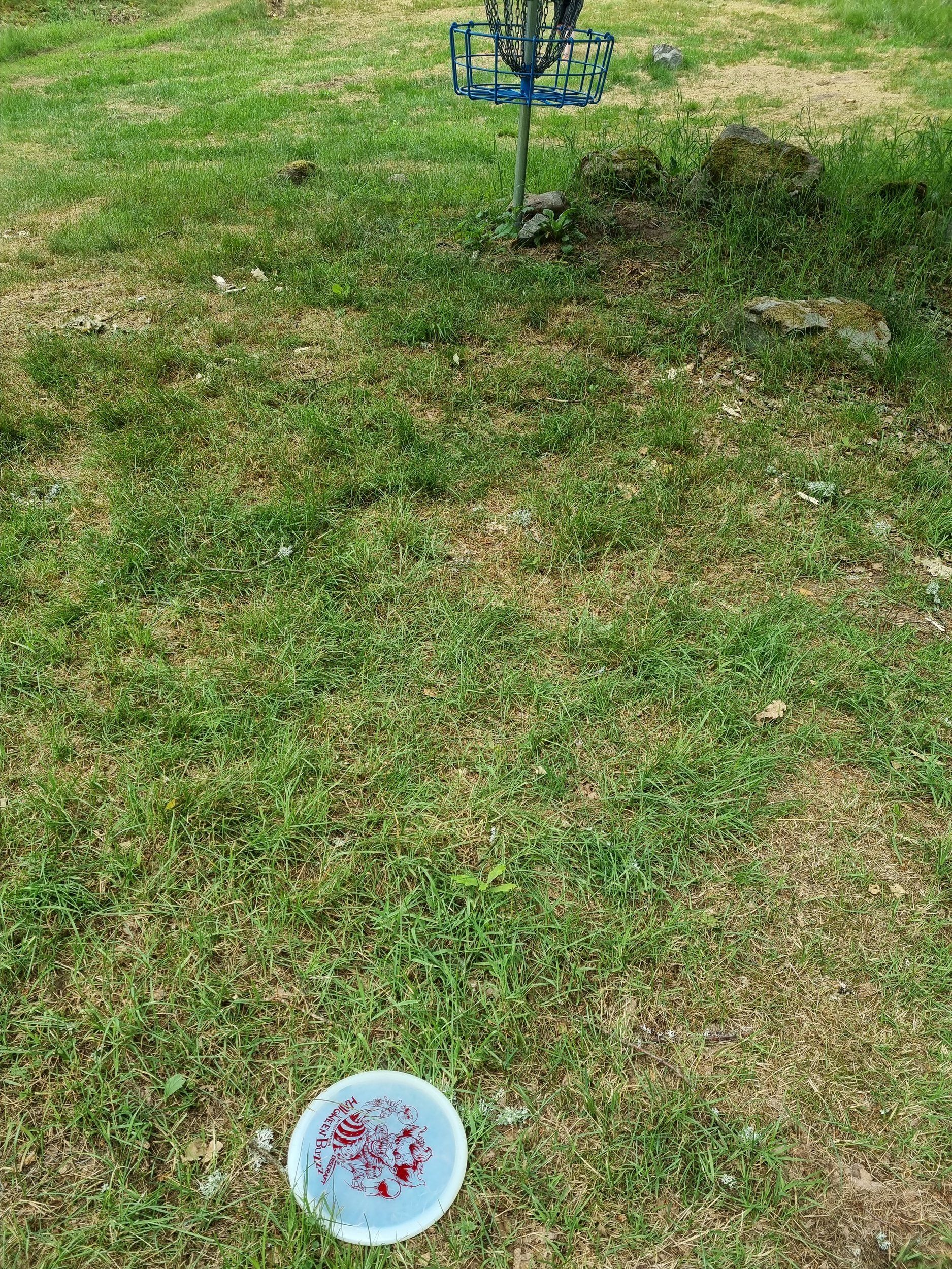 20210625_103614.jpg