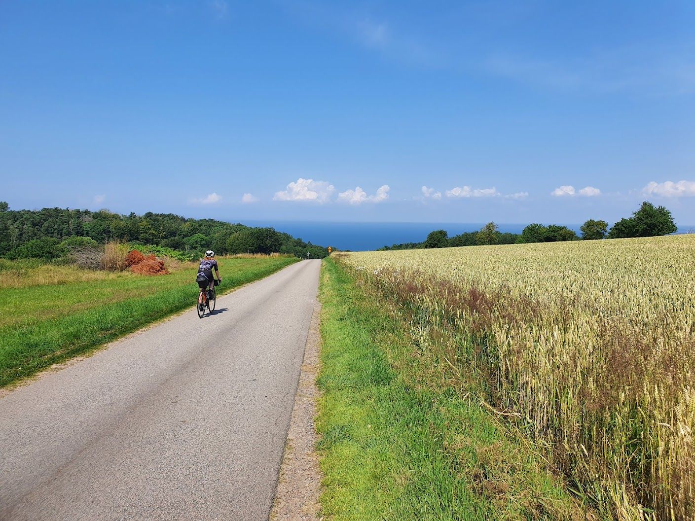 20210715_141109.jpg