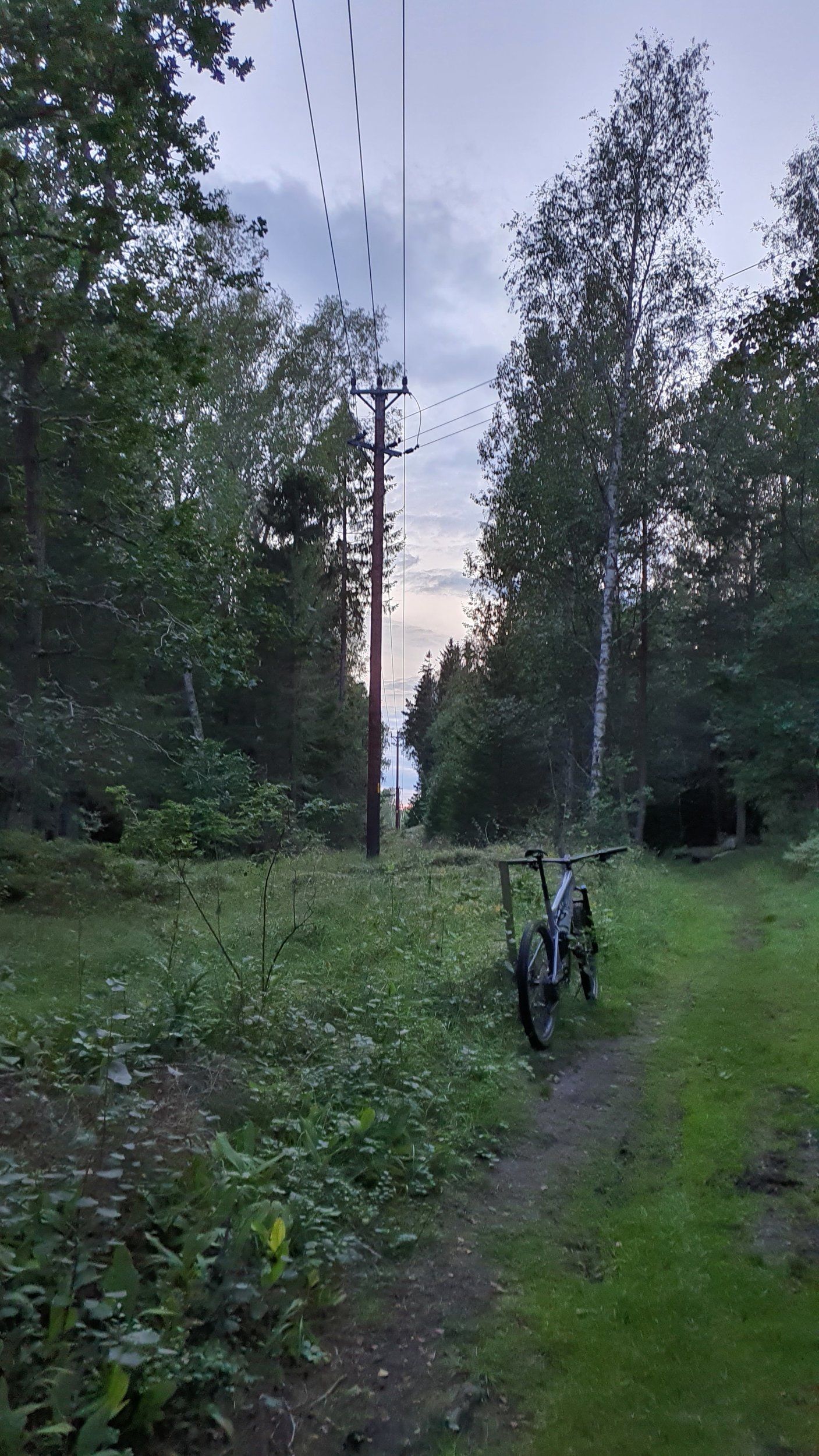 20210823_201958.jpg