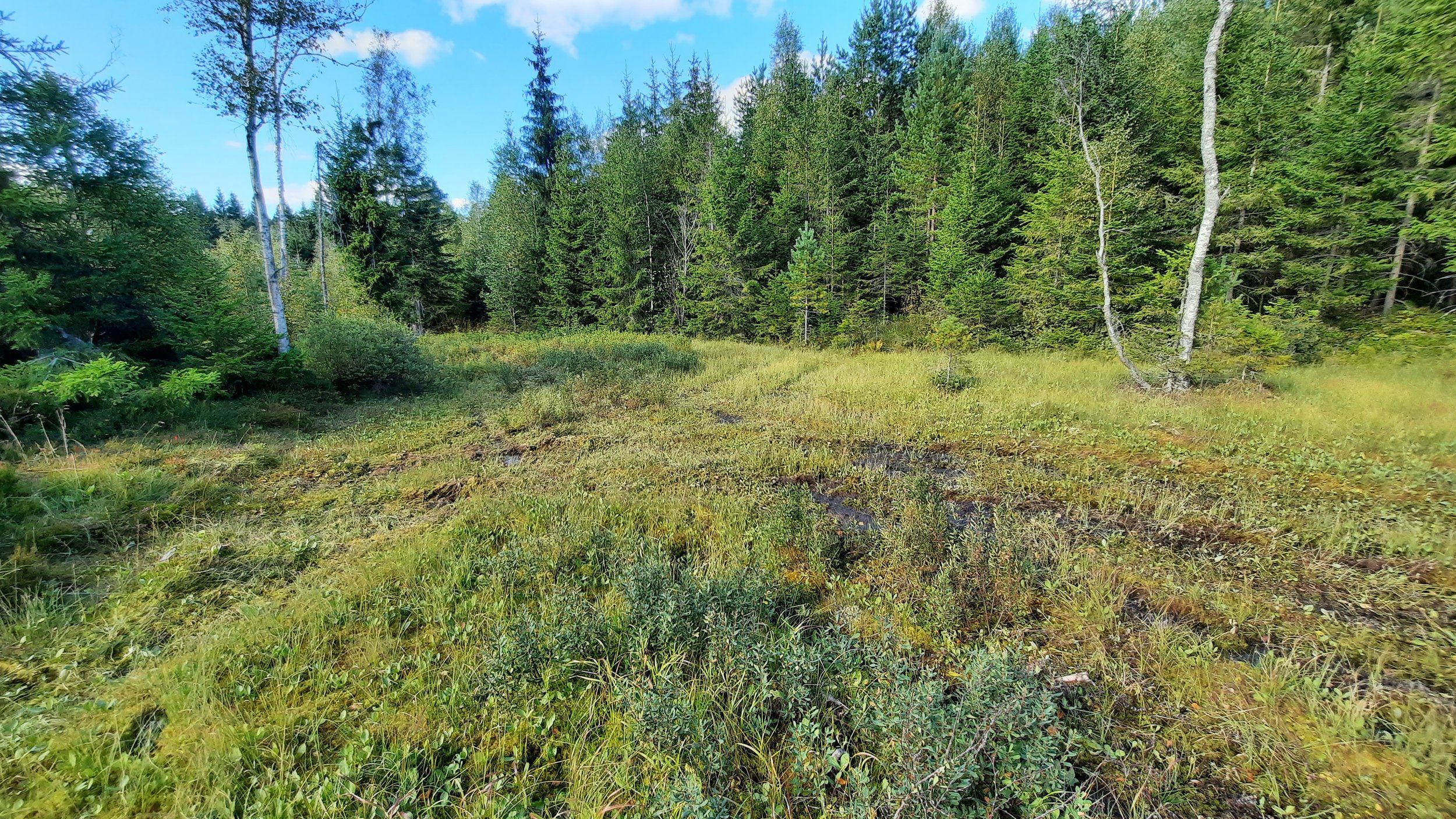 20210903_155836.jpg