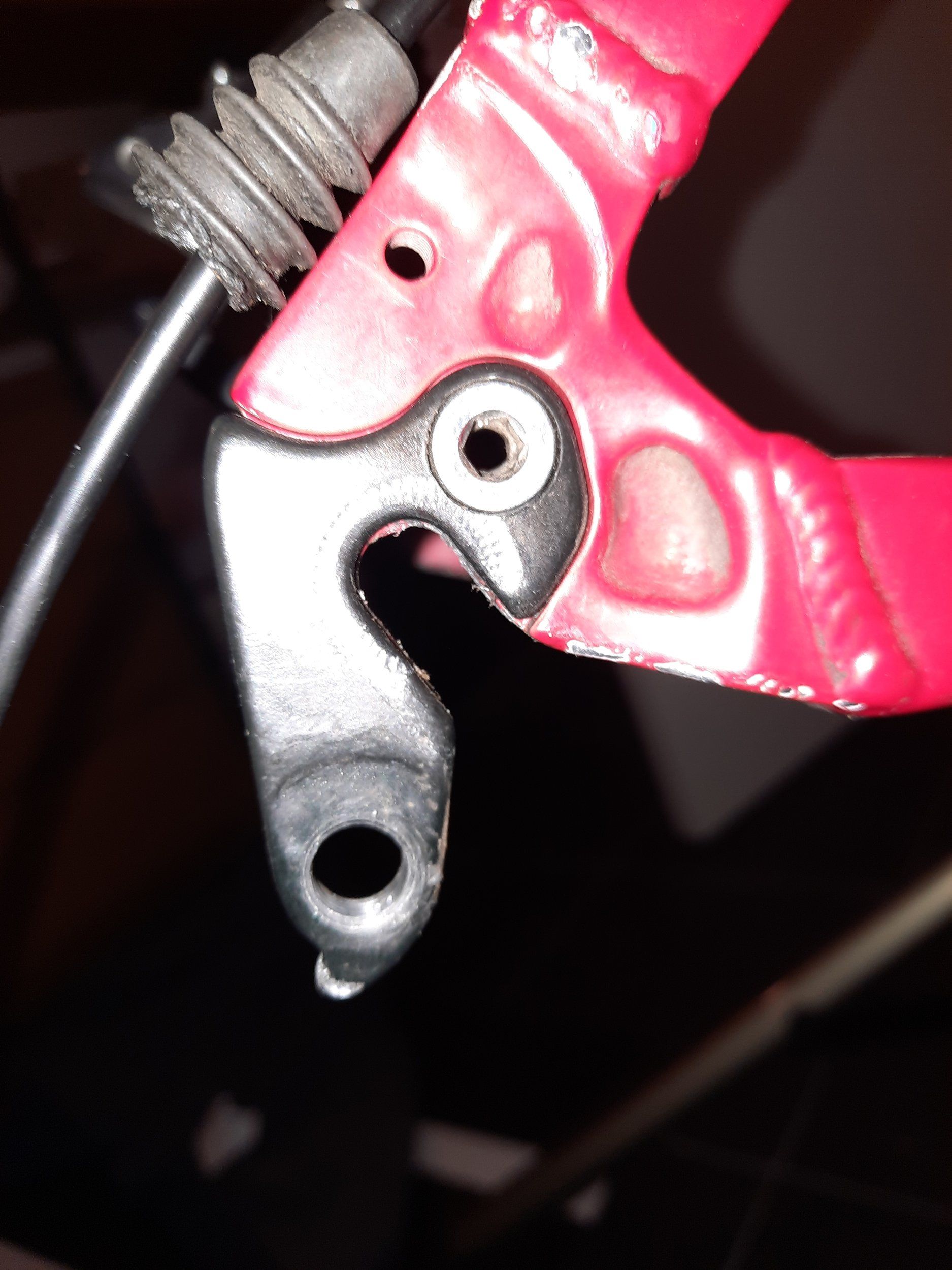 20210906_125721.jpg