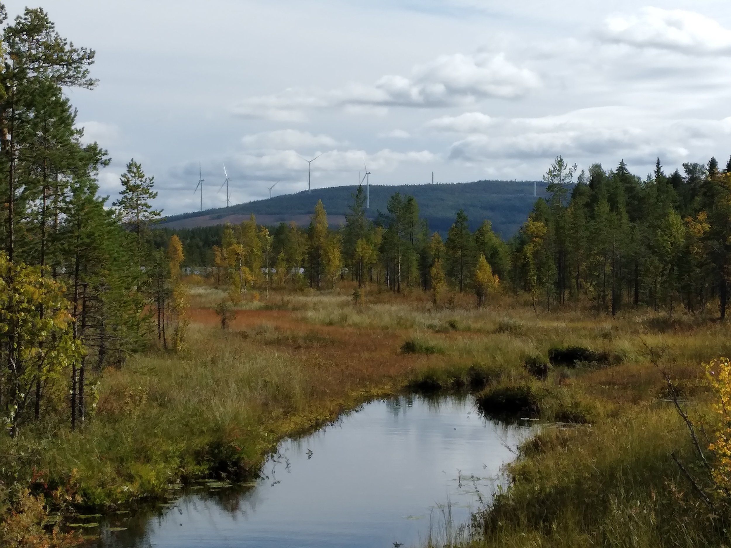 20210906_141723.jpg
