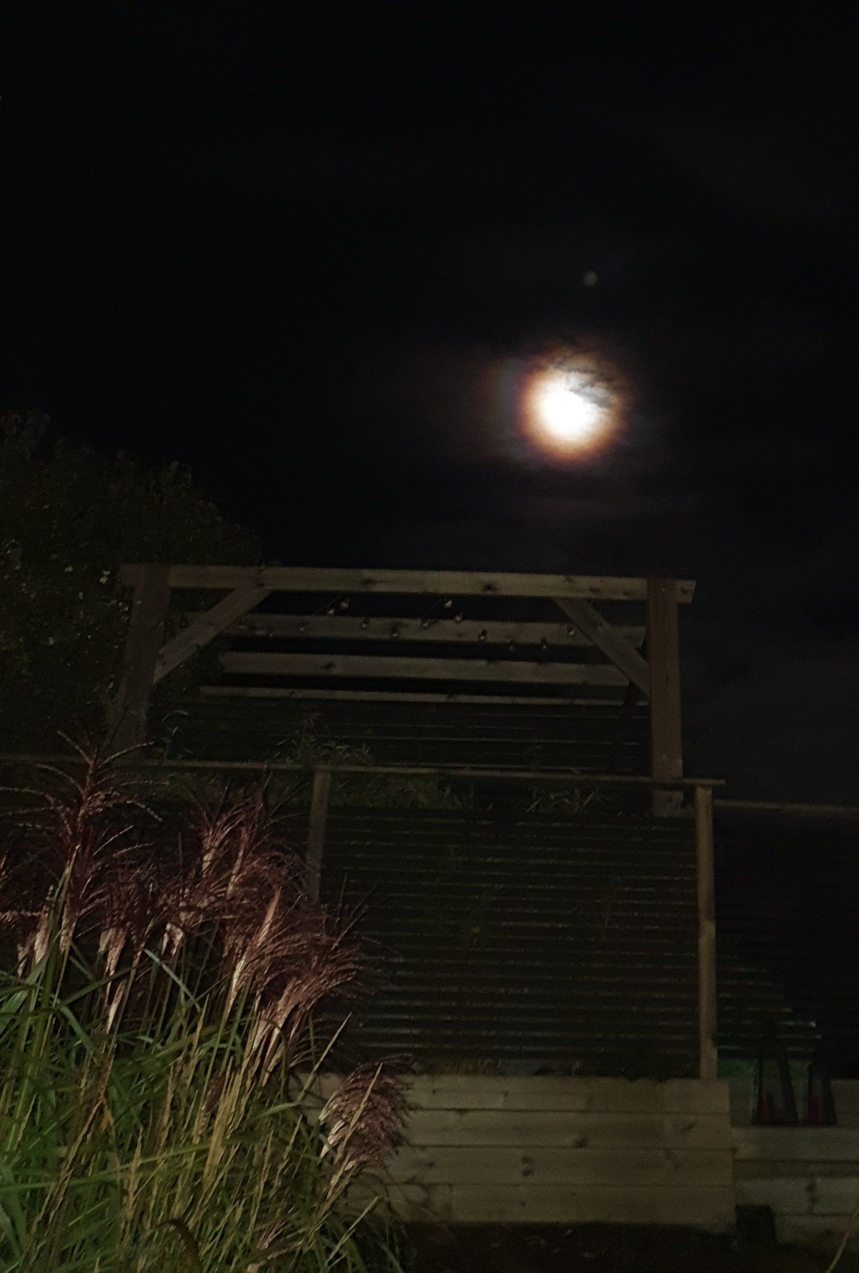20210922_024206.jpg