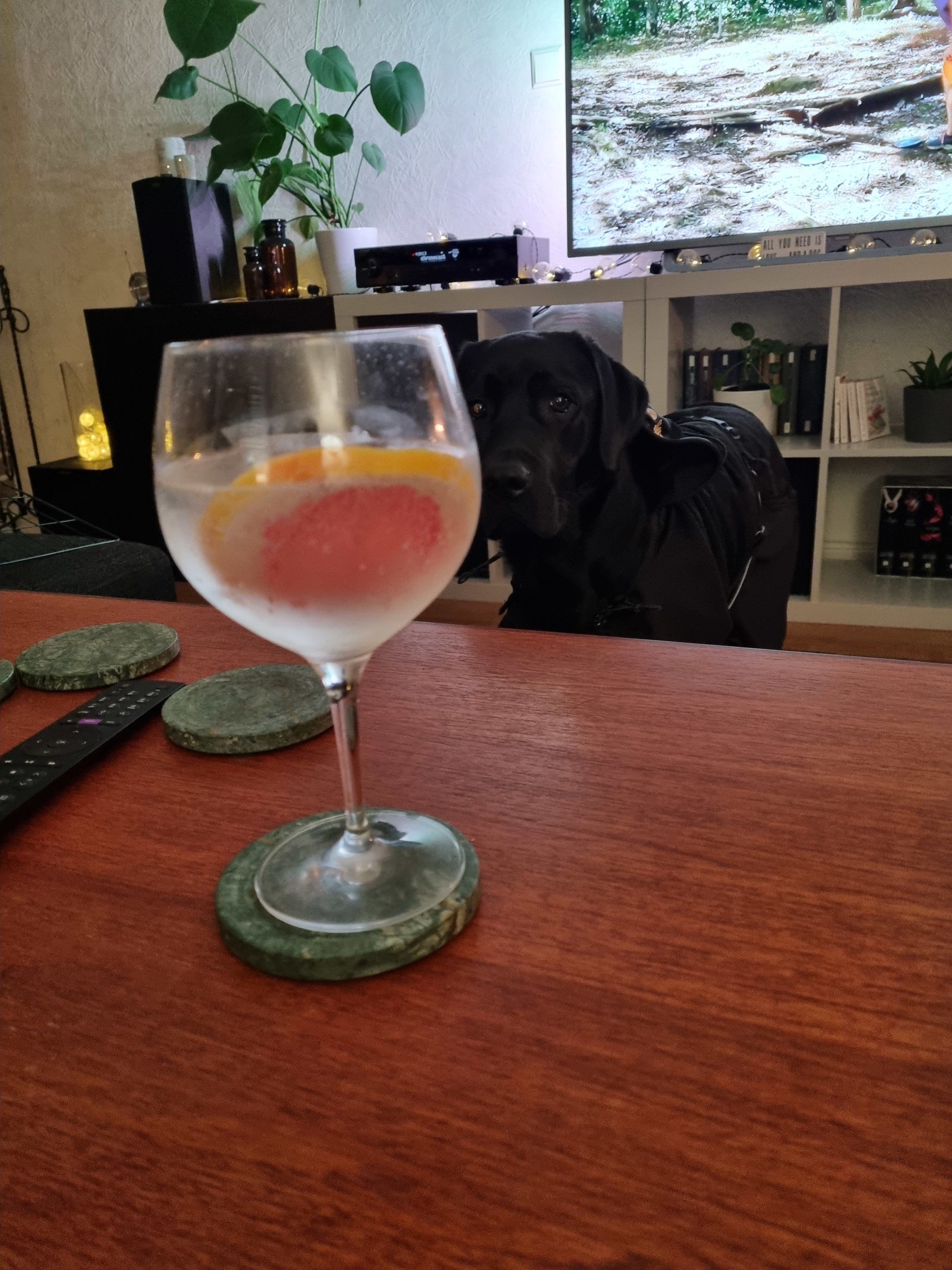 20210924_202711.jpg