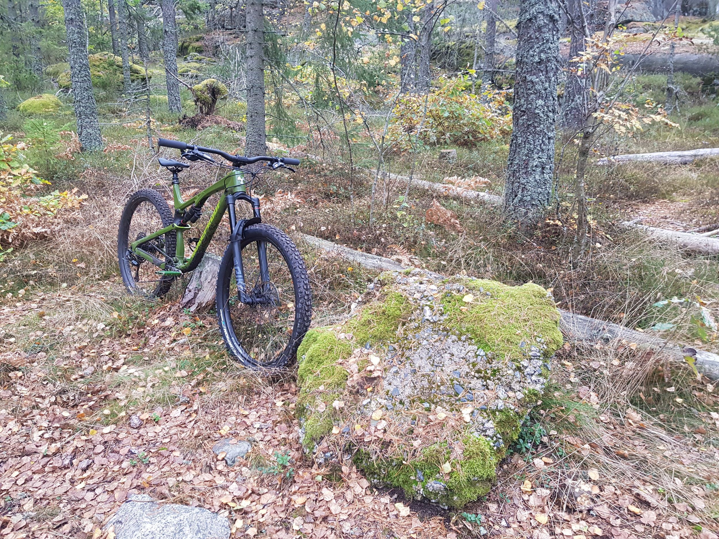 20211002_151408.jpg
