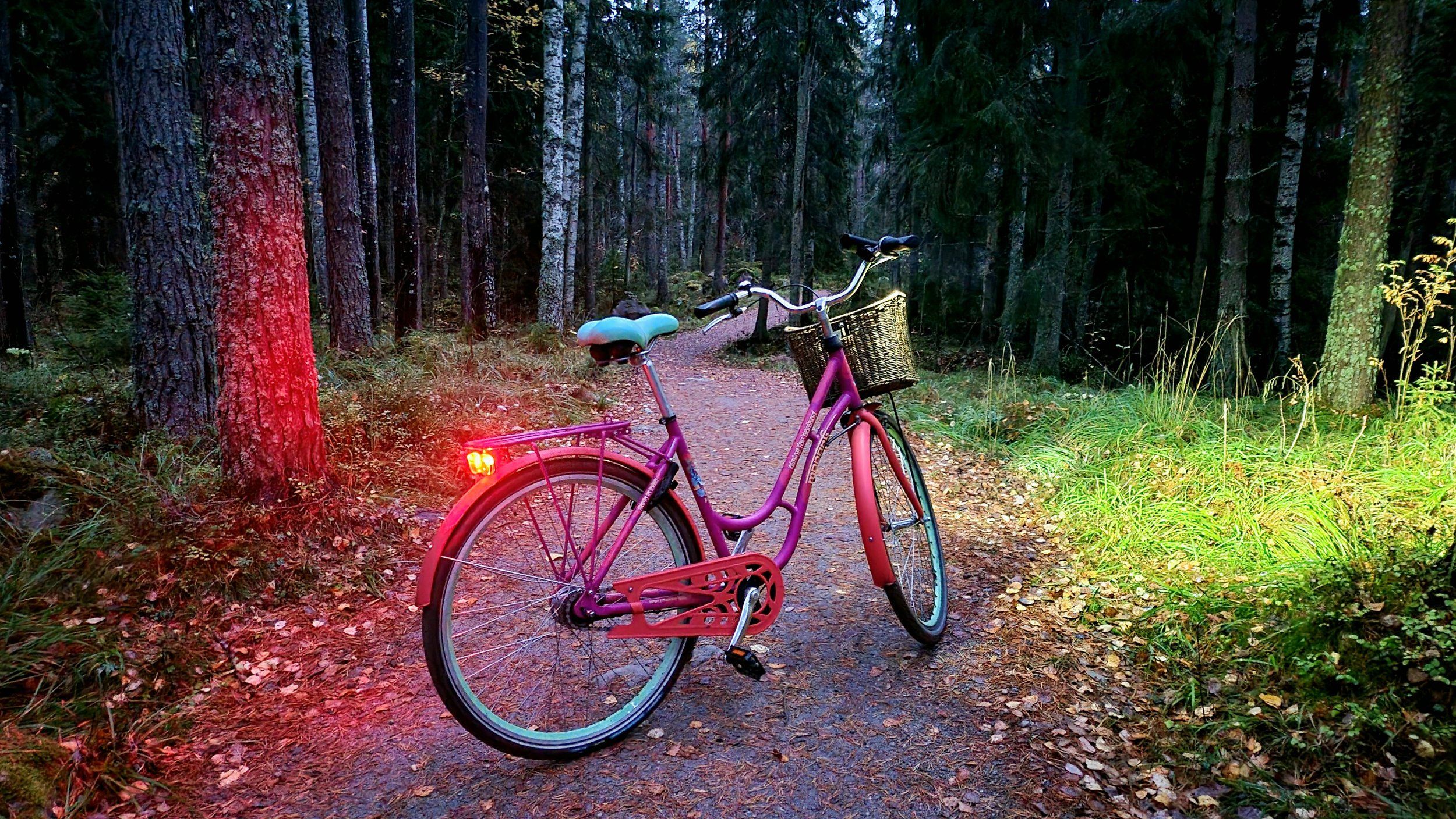 20211011_222817.jpg