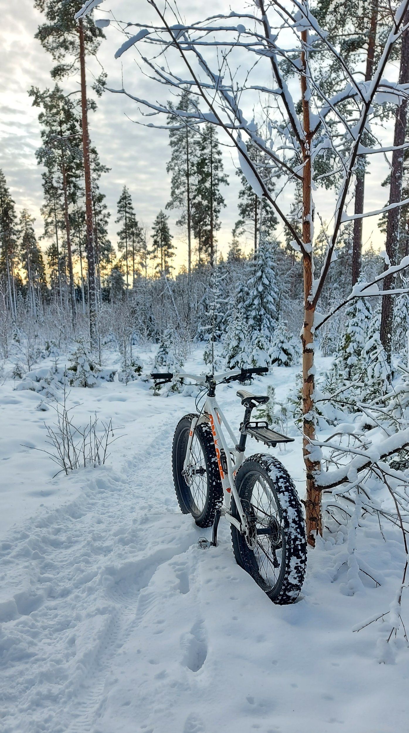 20211023_135958.jpg