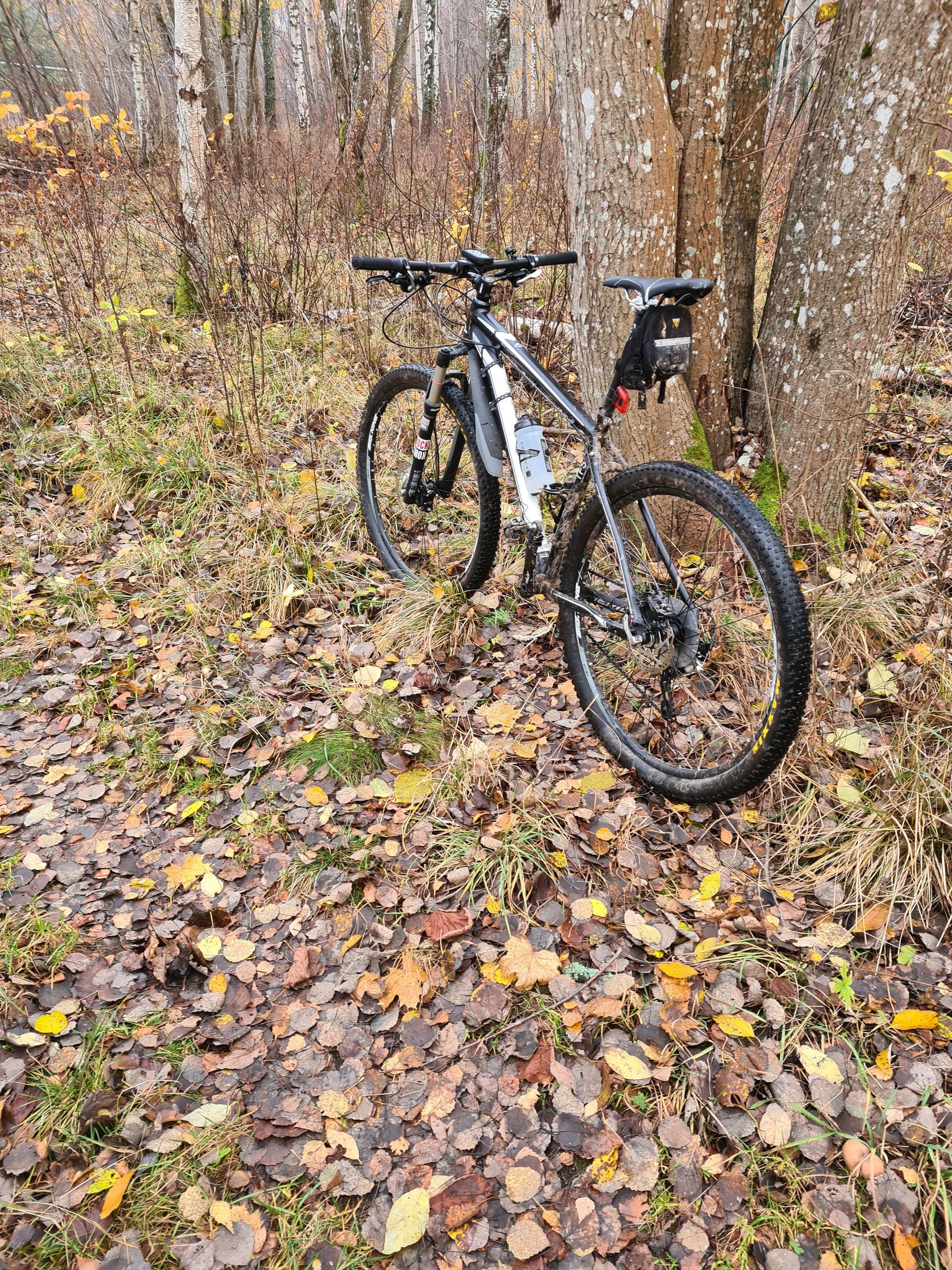 20211029_144341.jpg