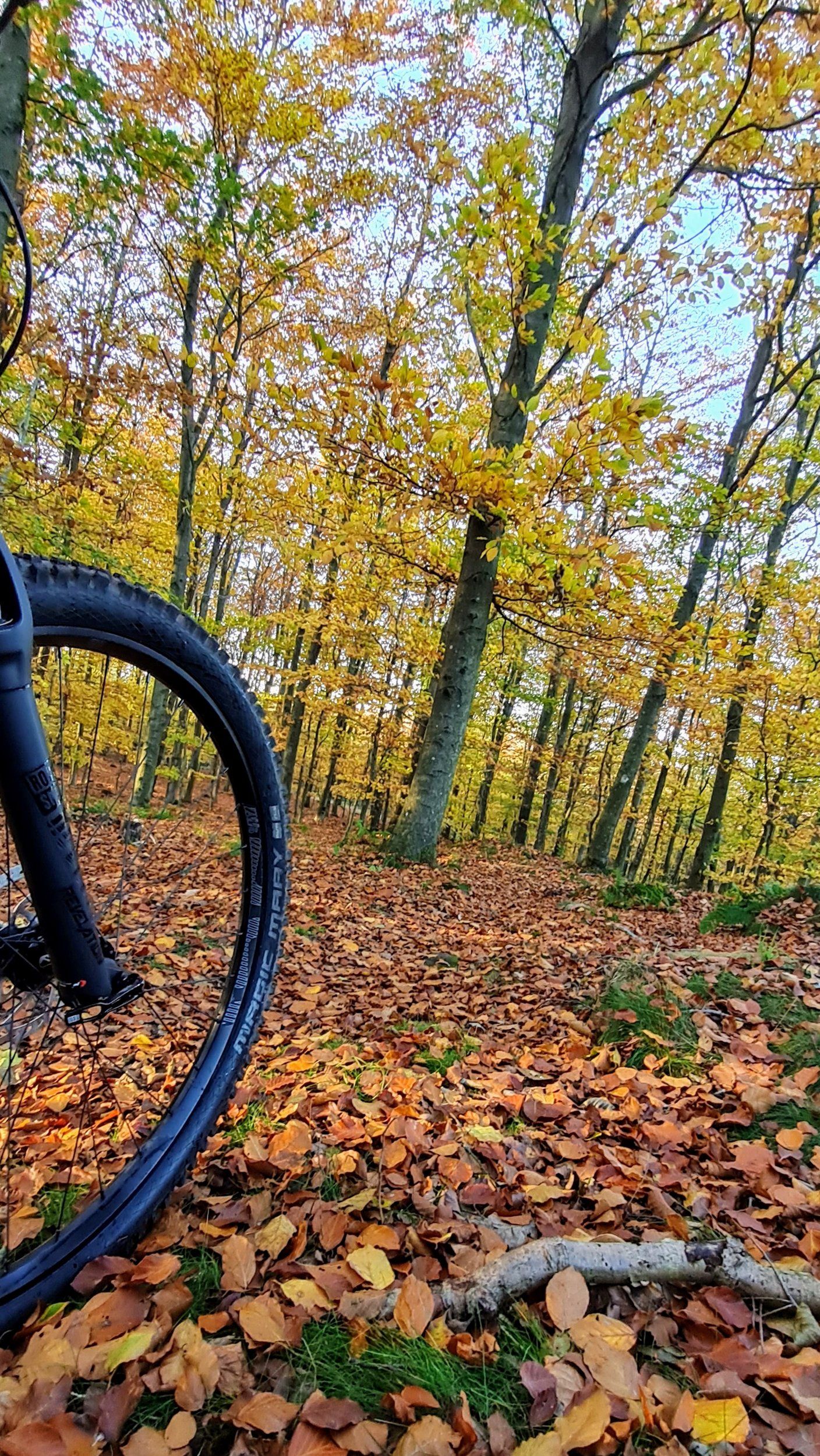 20211029_161027.jpg