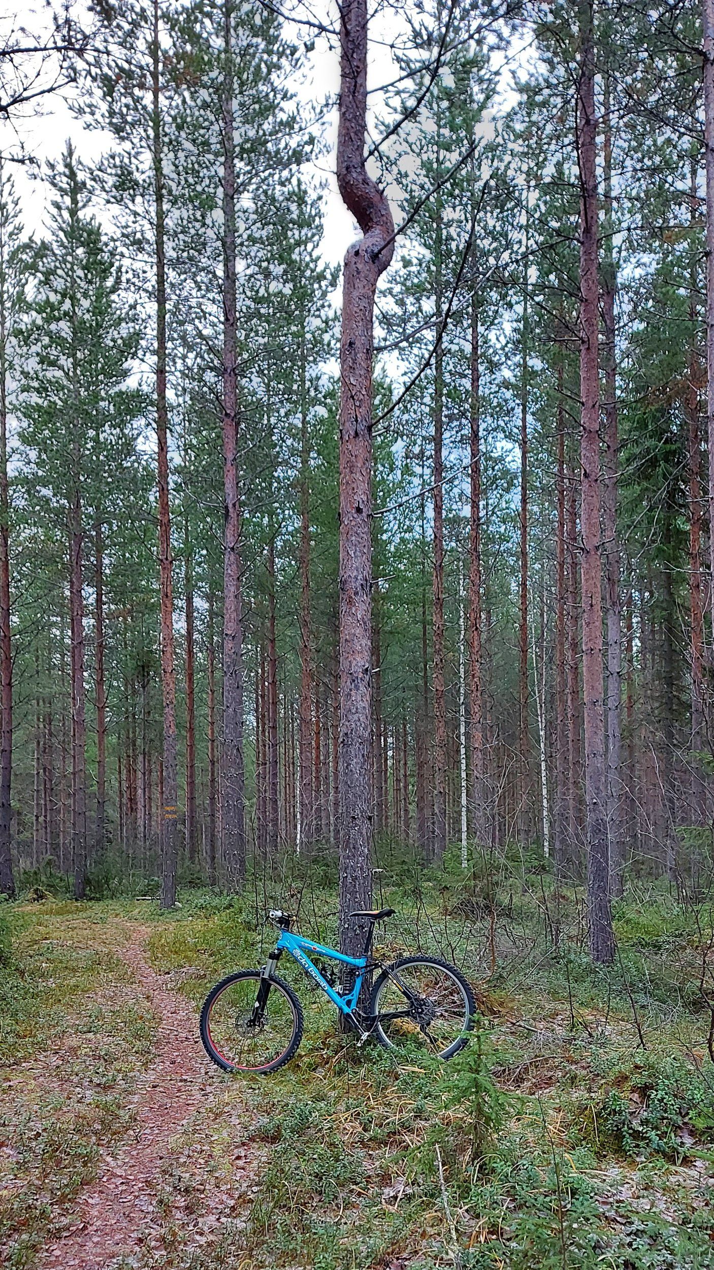 20211107_130942.jpg