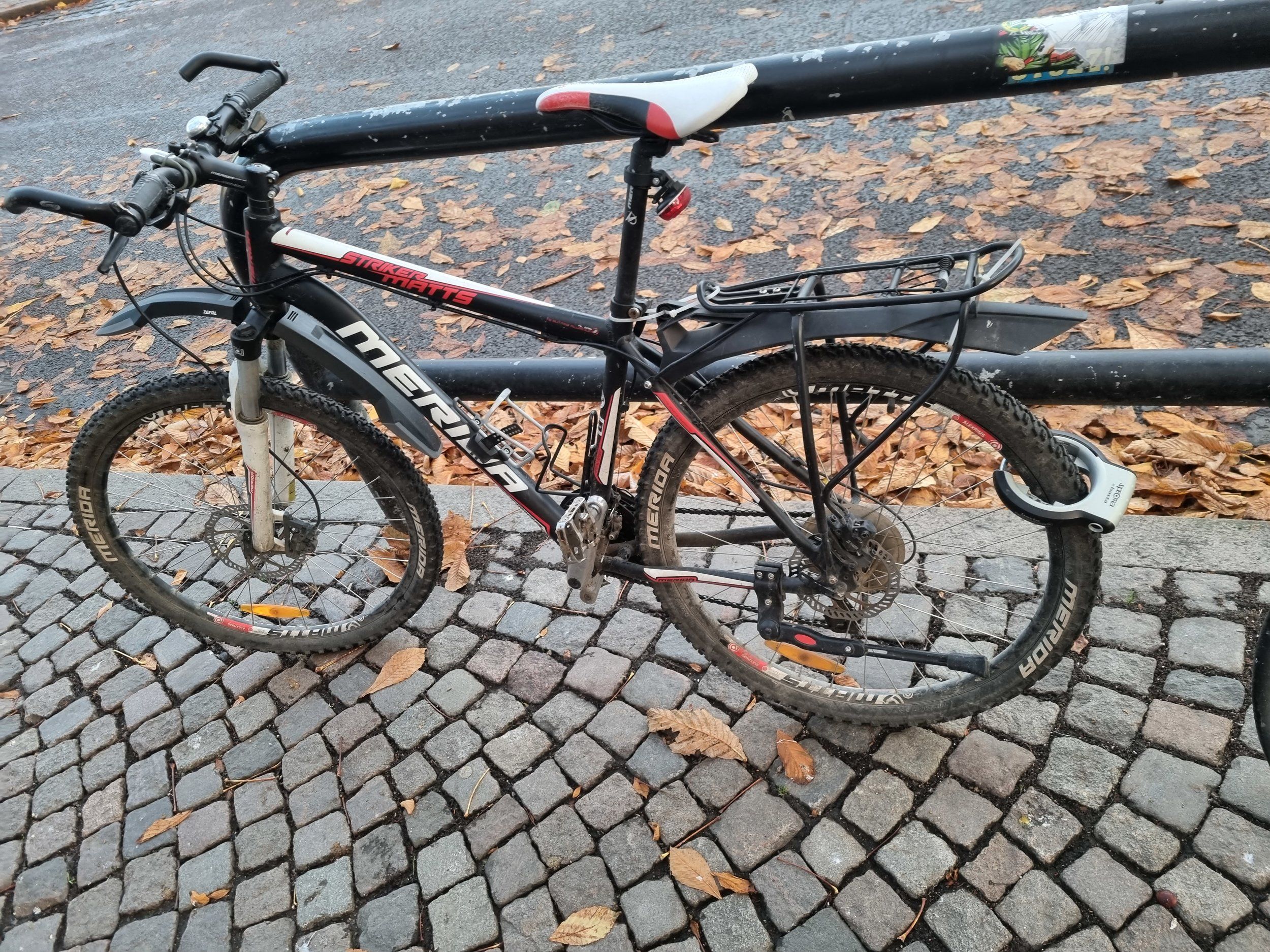 20211108_075500.jpg