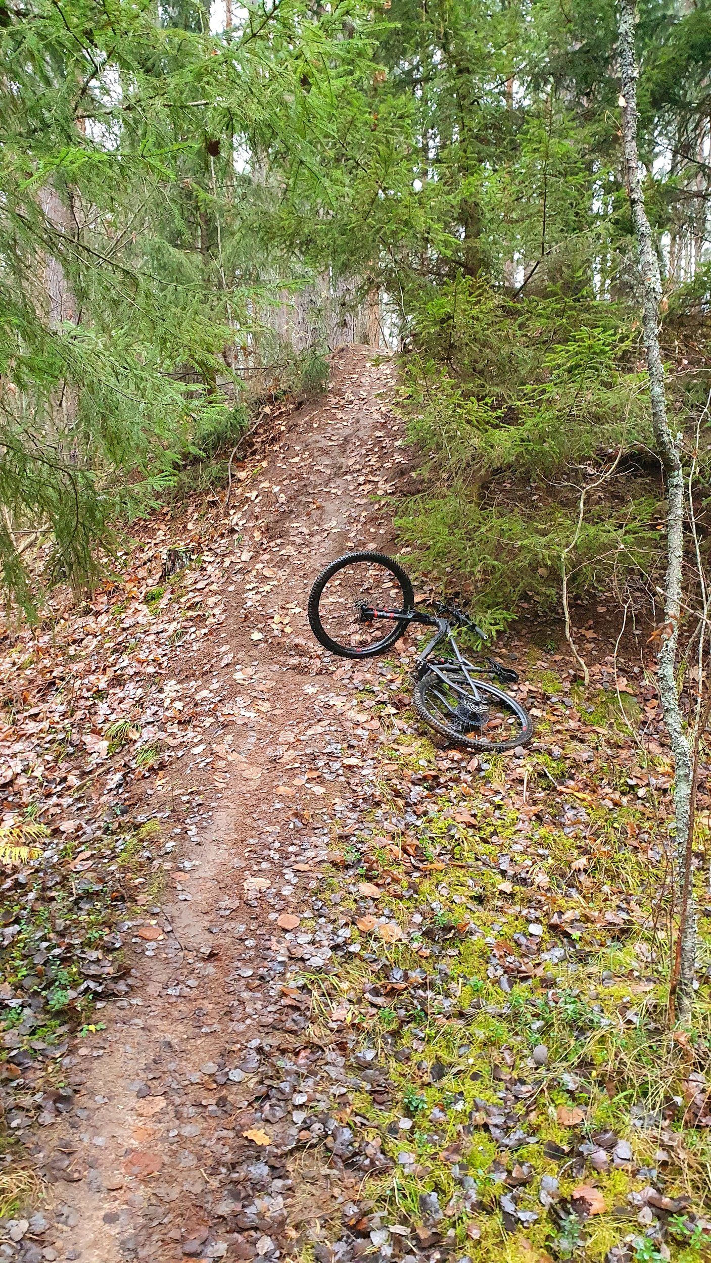 20211113_122206.jpg