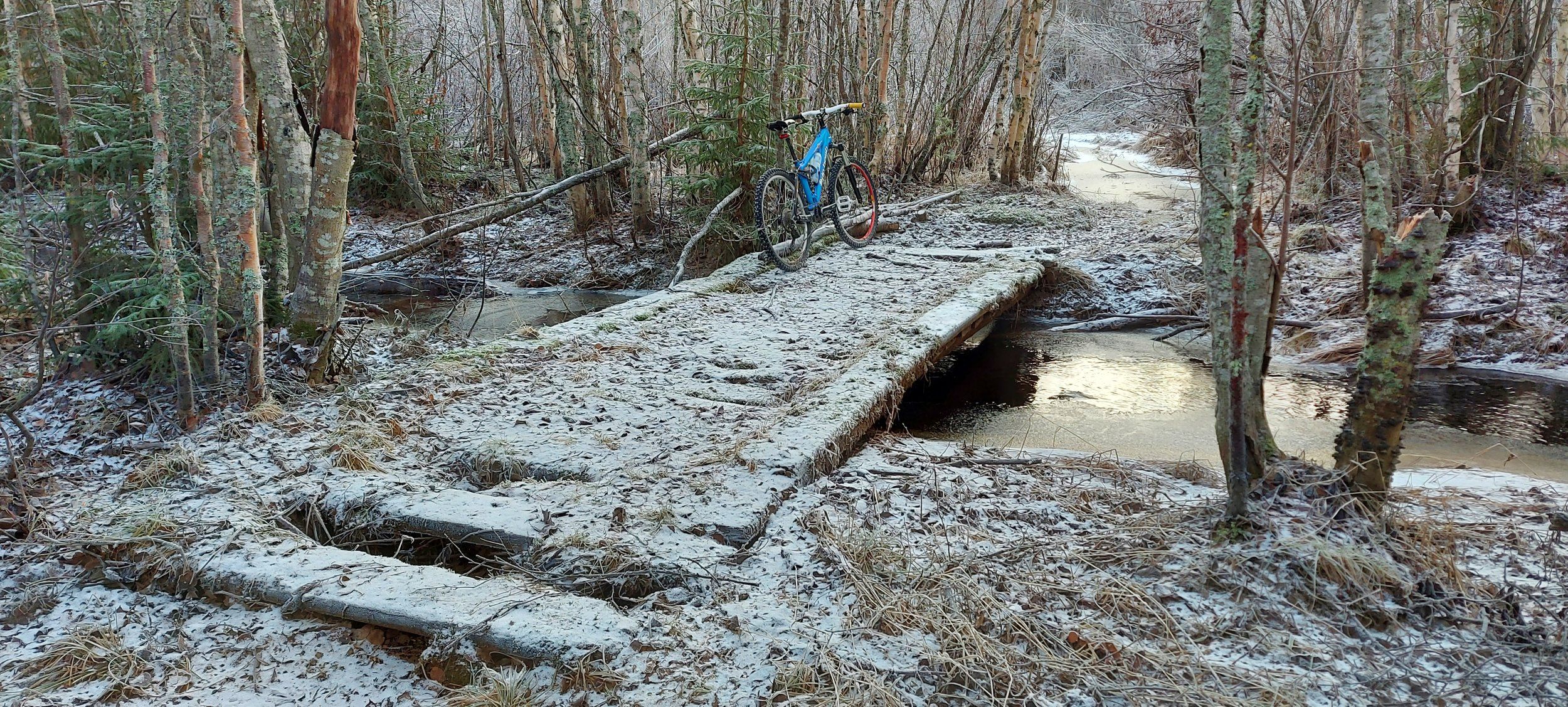 20211113_125812.jpg