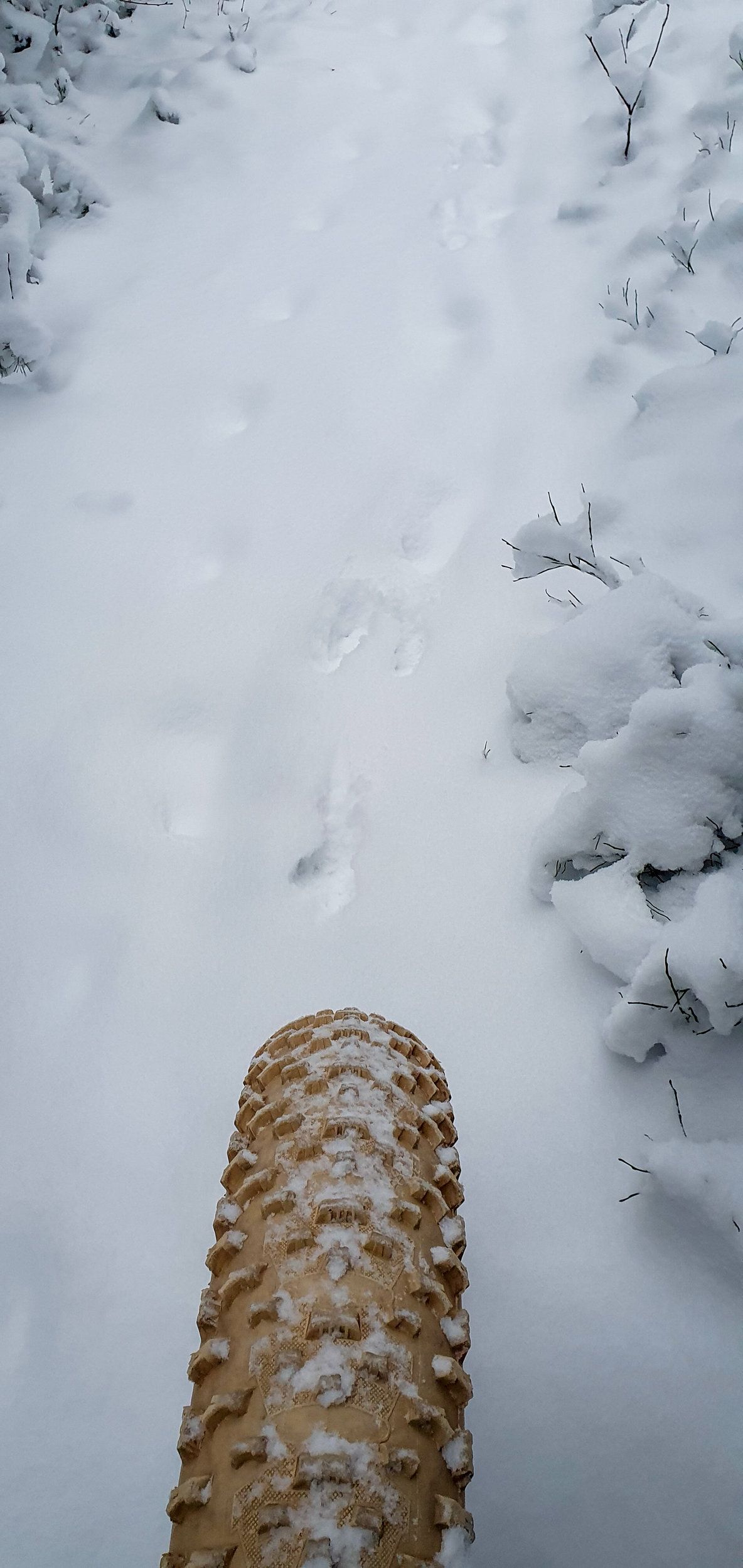 20211128_133542.jpg