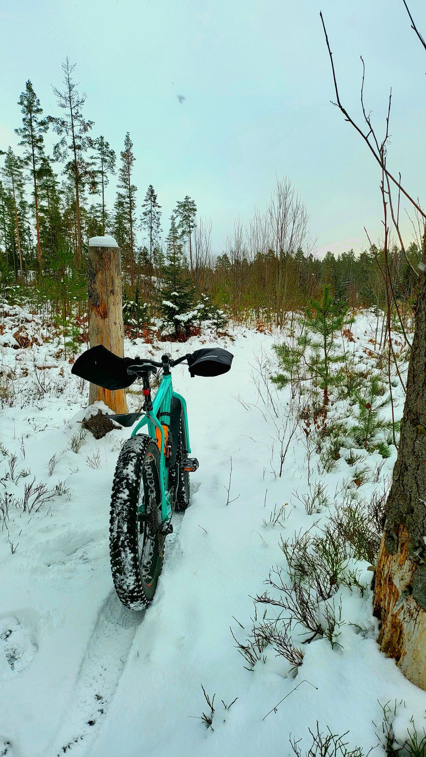 20211205_105324.jpg
