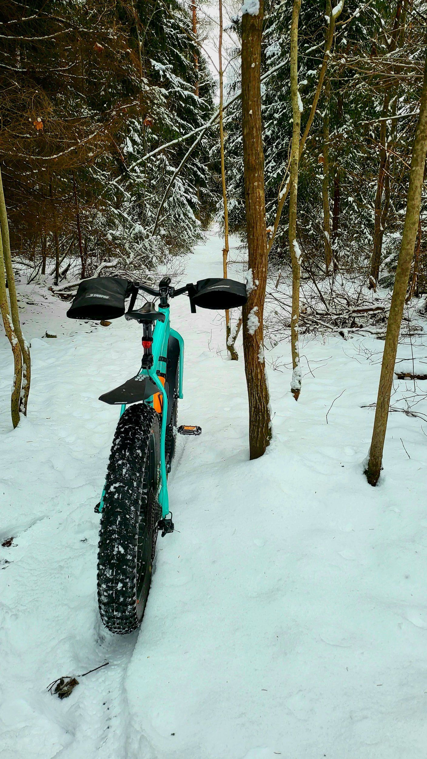 20211205_122141.jpg