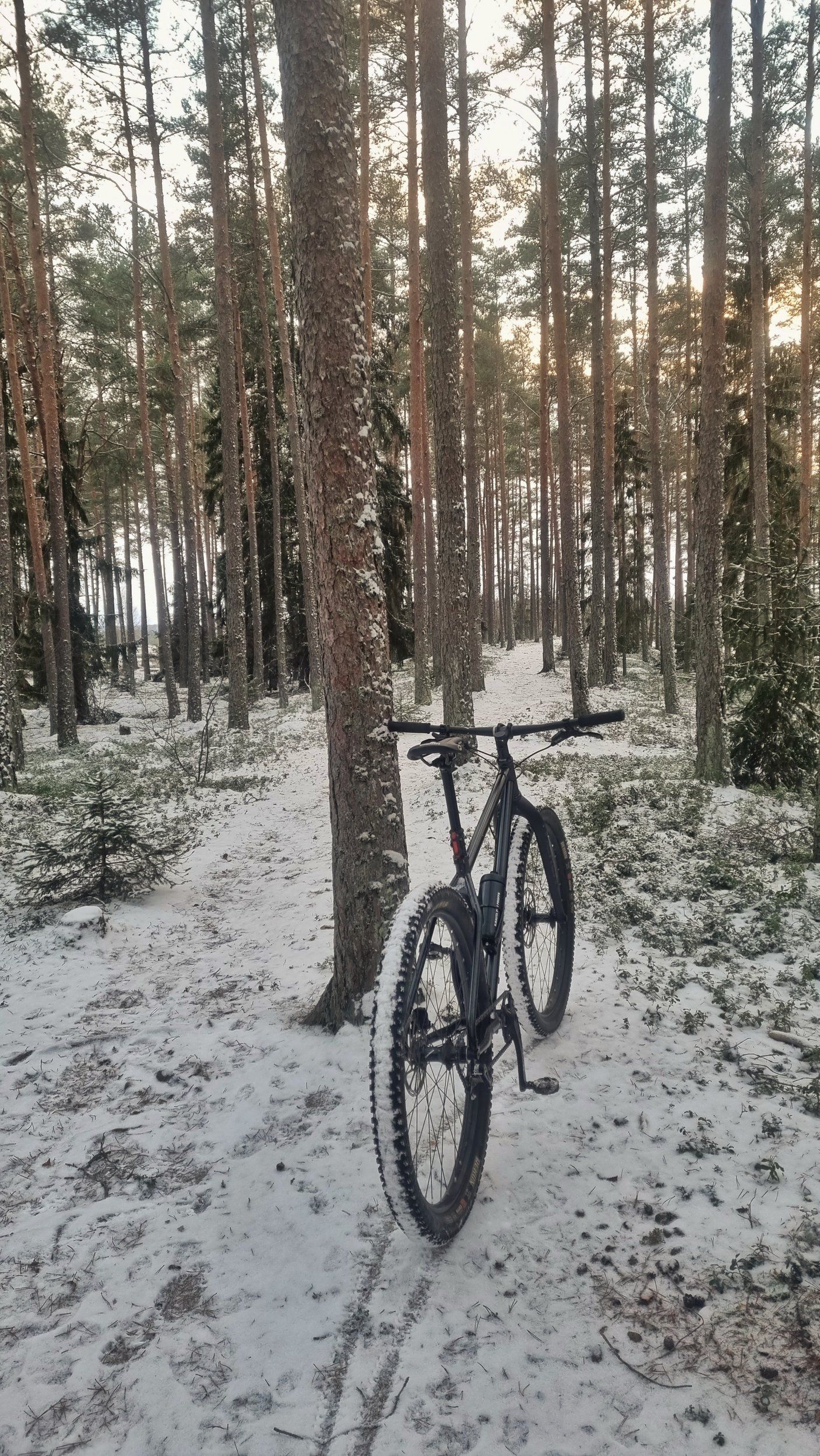 20211205_135712-01.jpeg