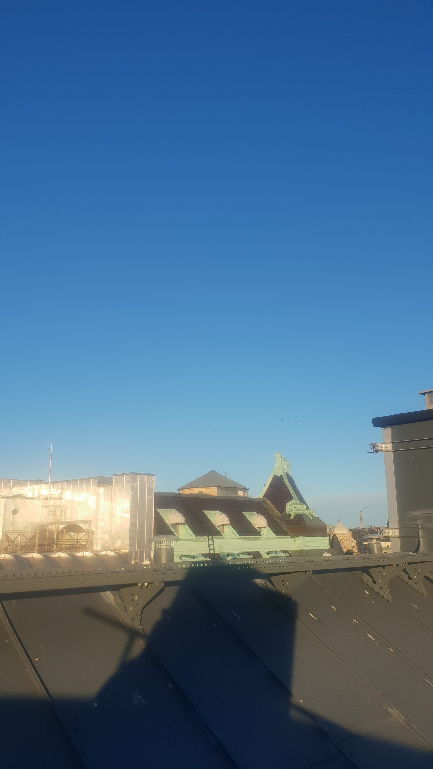 20211216_125130.jpg