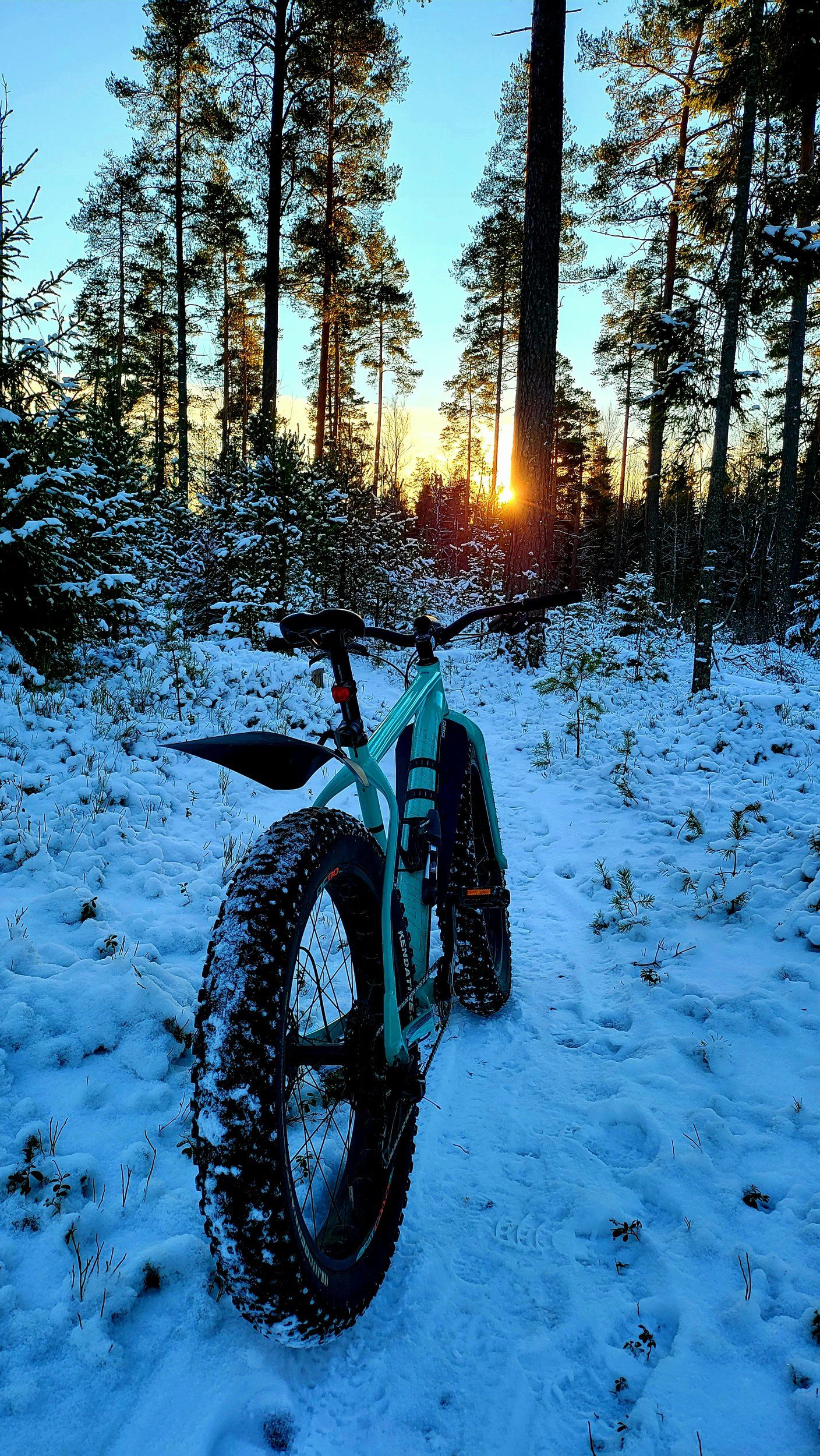 20211223_150935.jpg