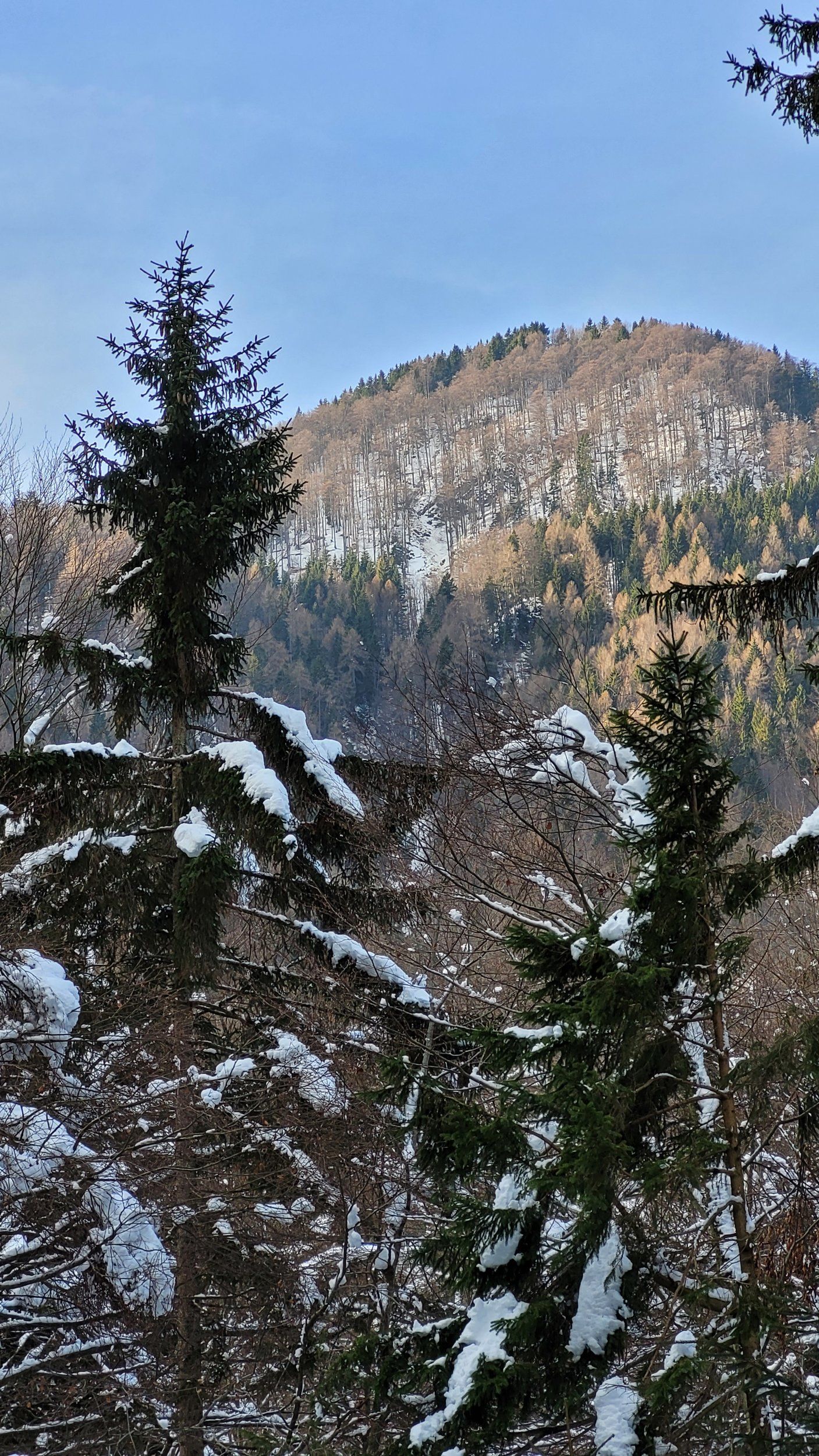 20211224_103235.jpg