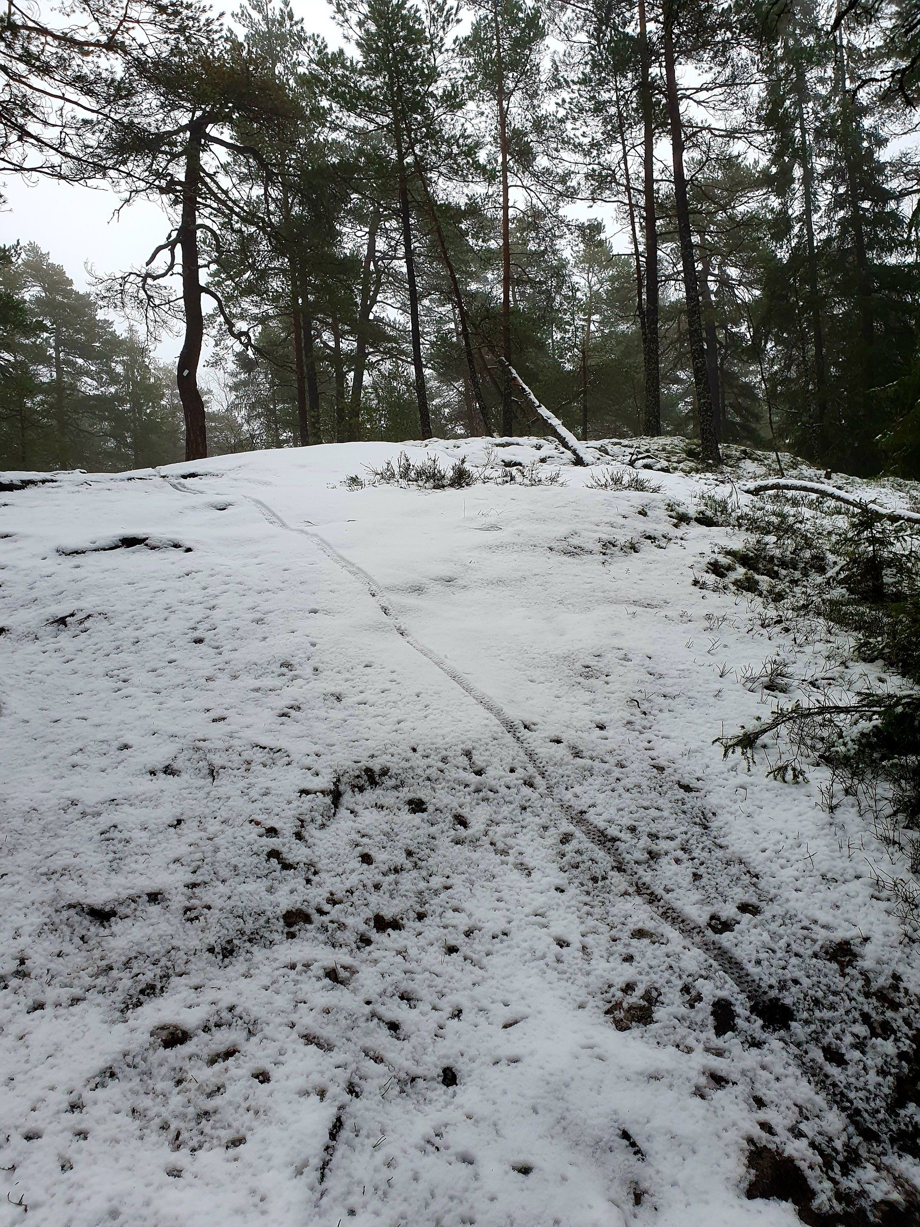 20220102_130640.jpg