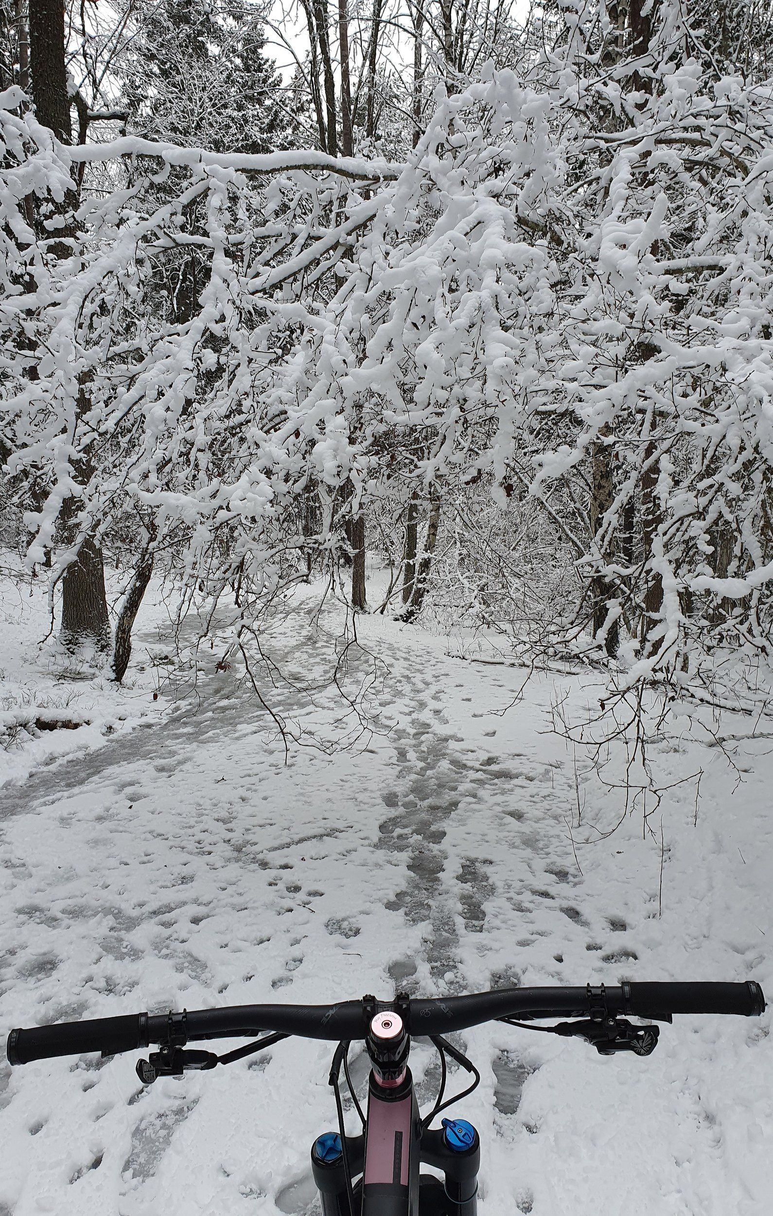 20220110_113952.jpg