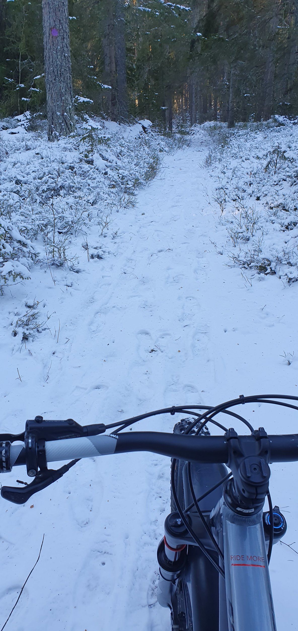 20220121_123755.jpg