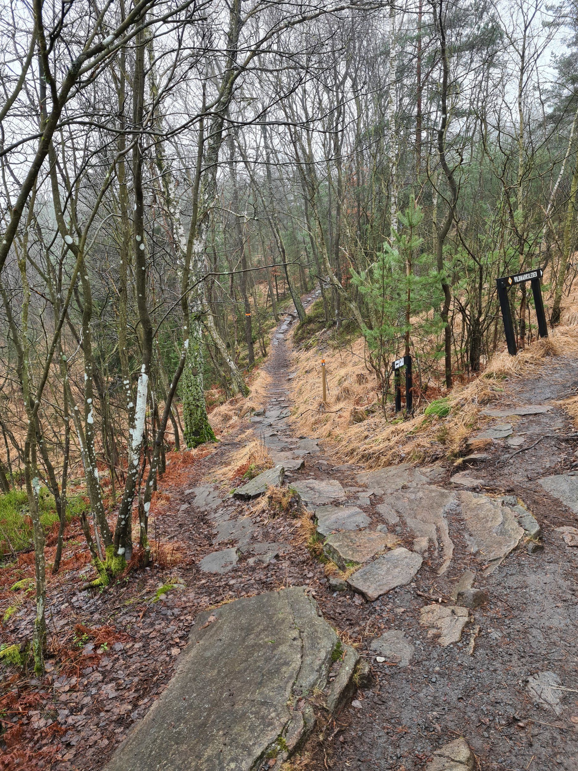 20220123_115012.jpg