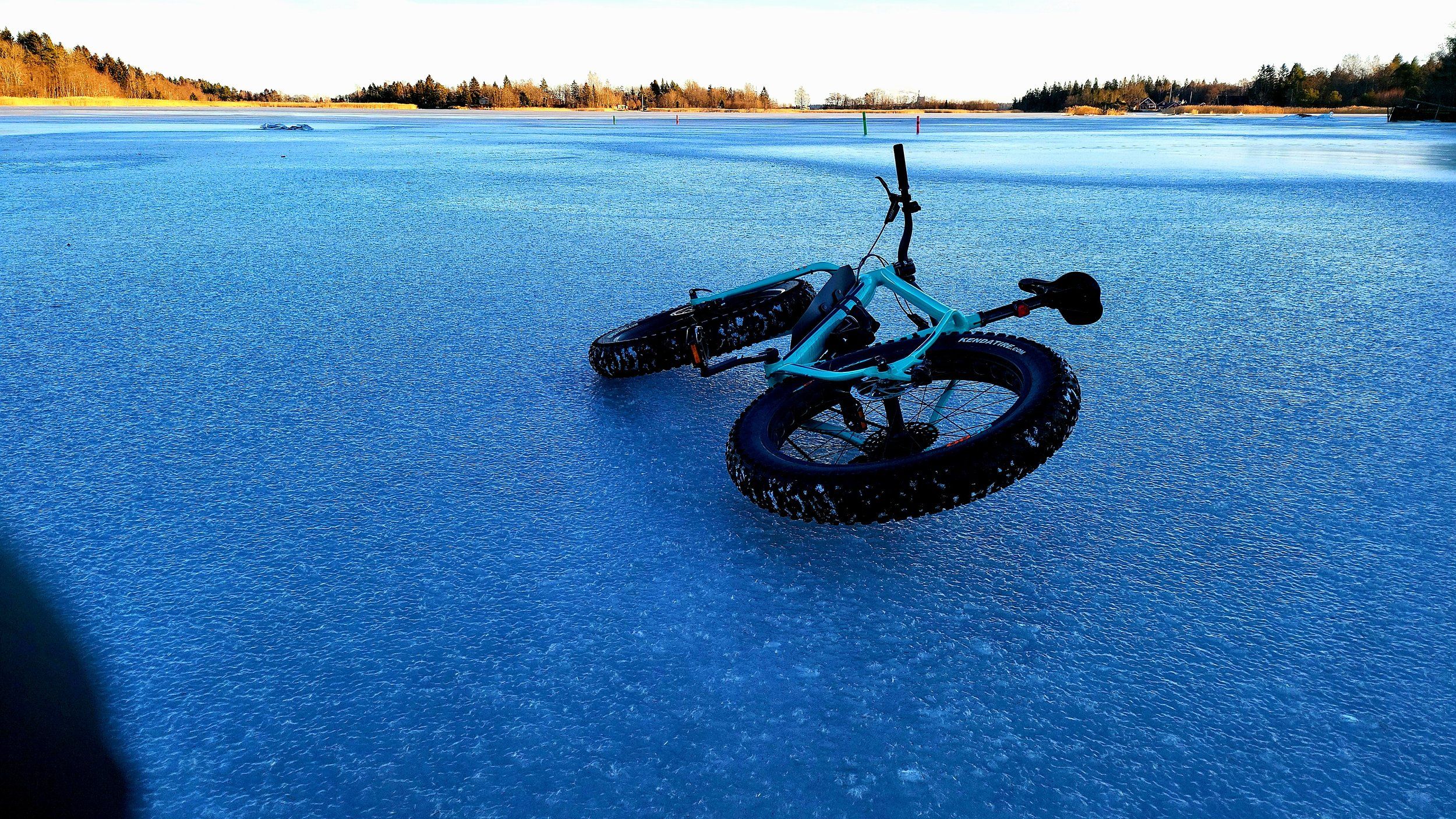 20220123_142029.jpg