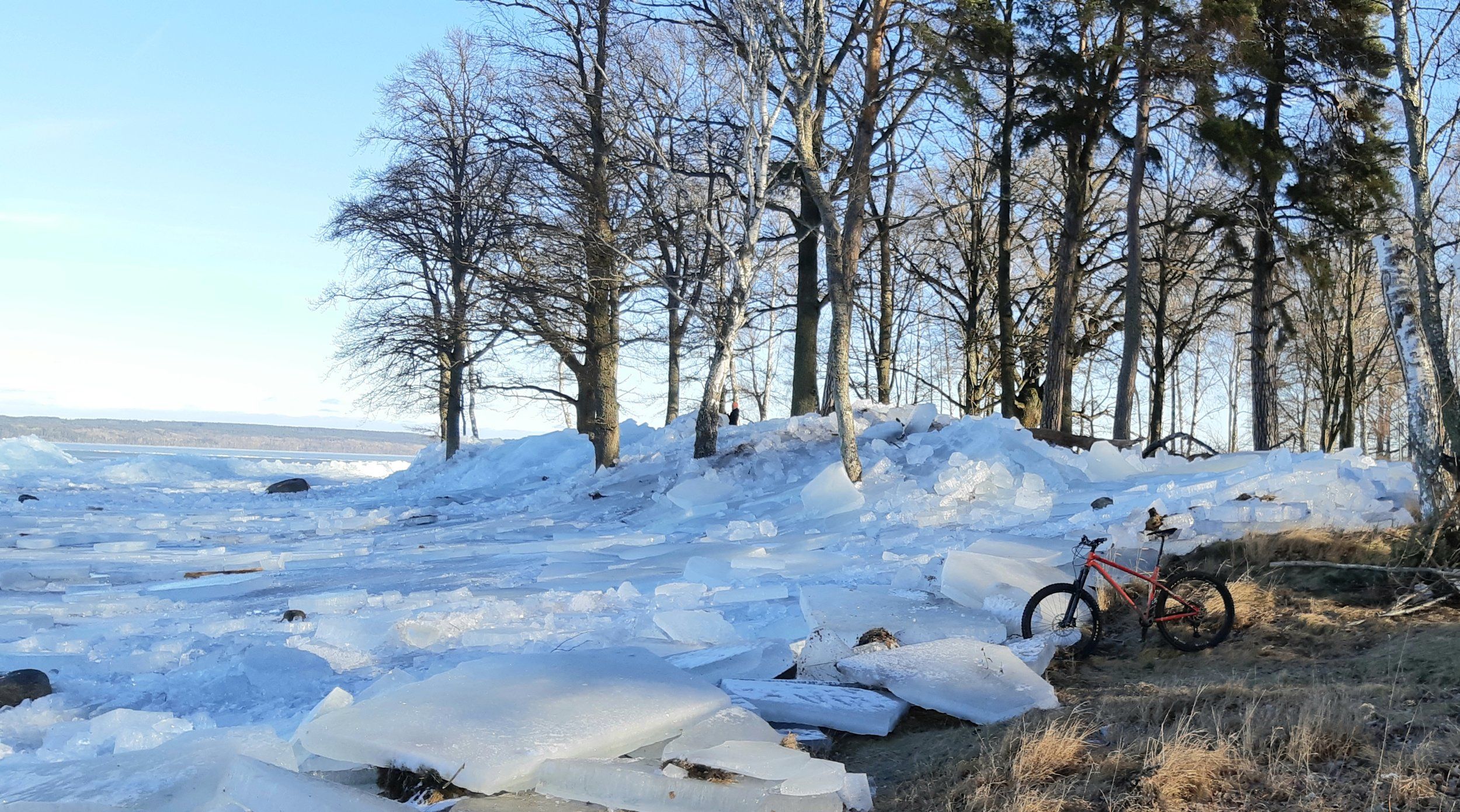 20220131_170300.jpg