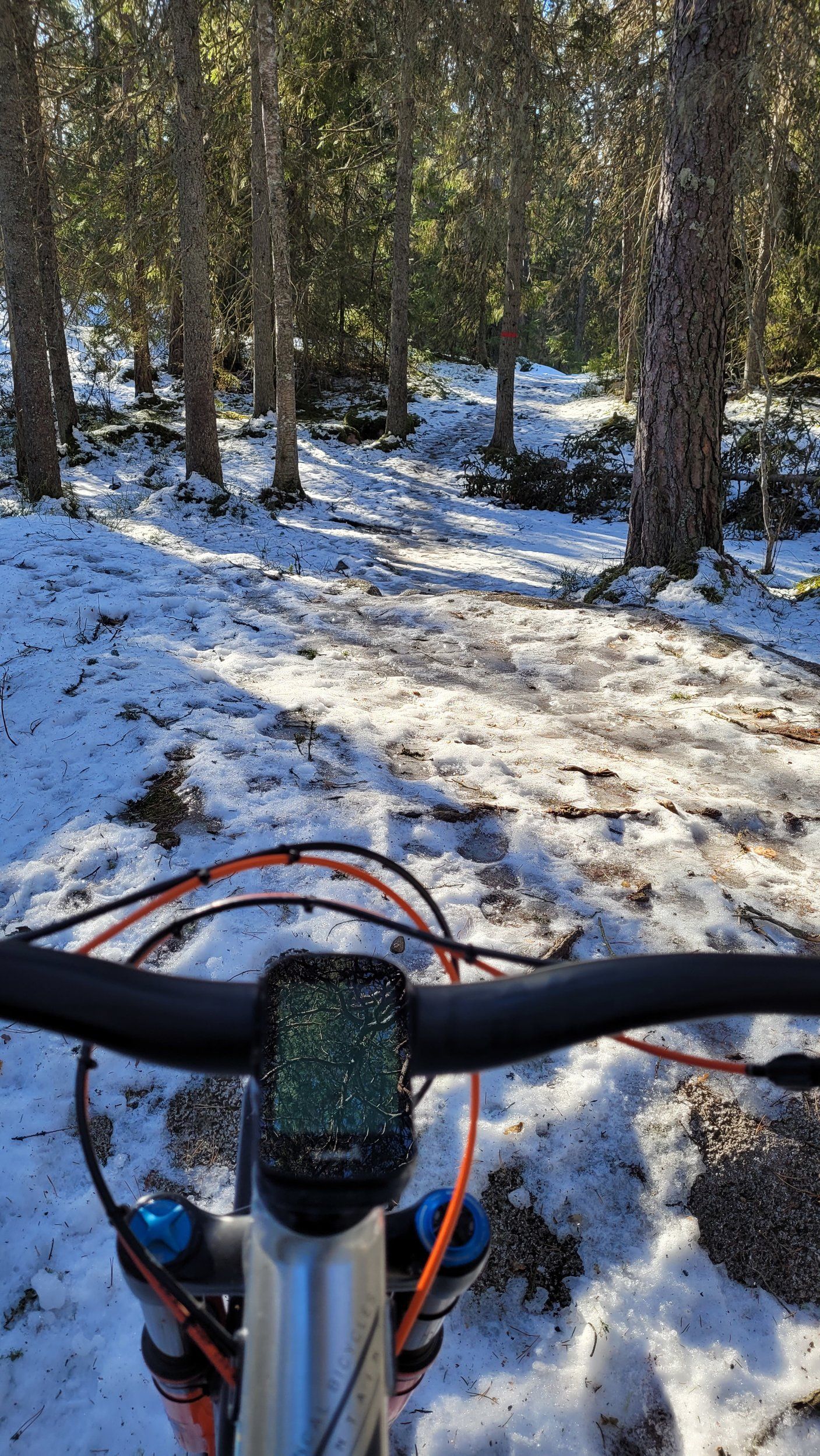 20220306_121132.jpg