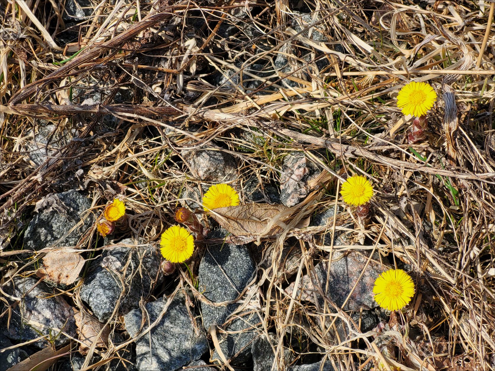 20220324_141127.jpg