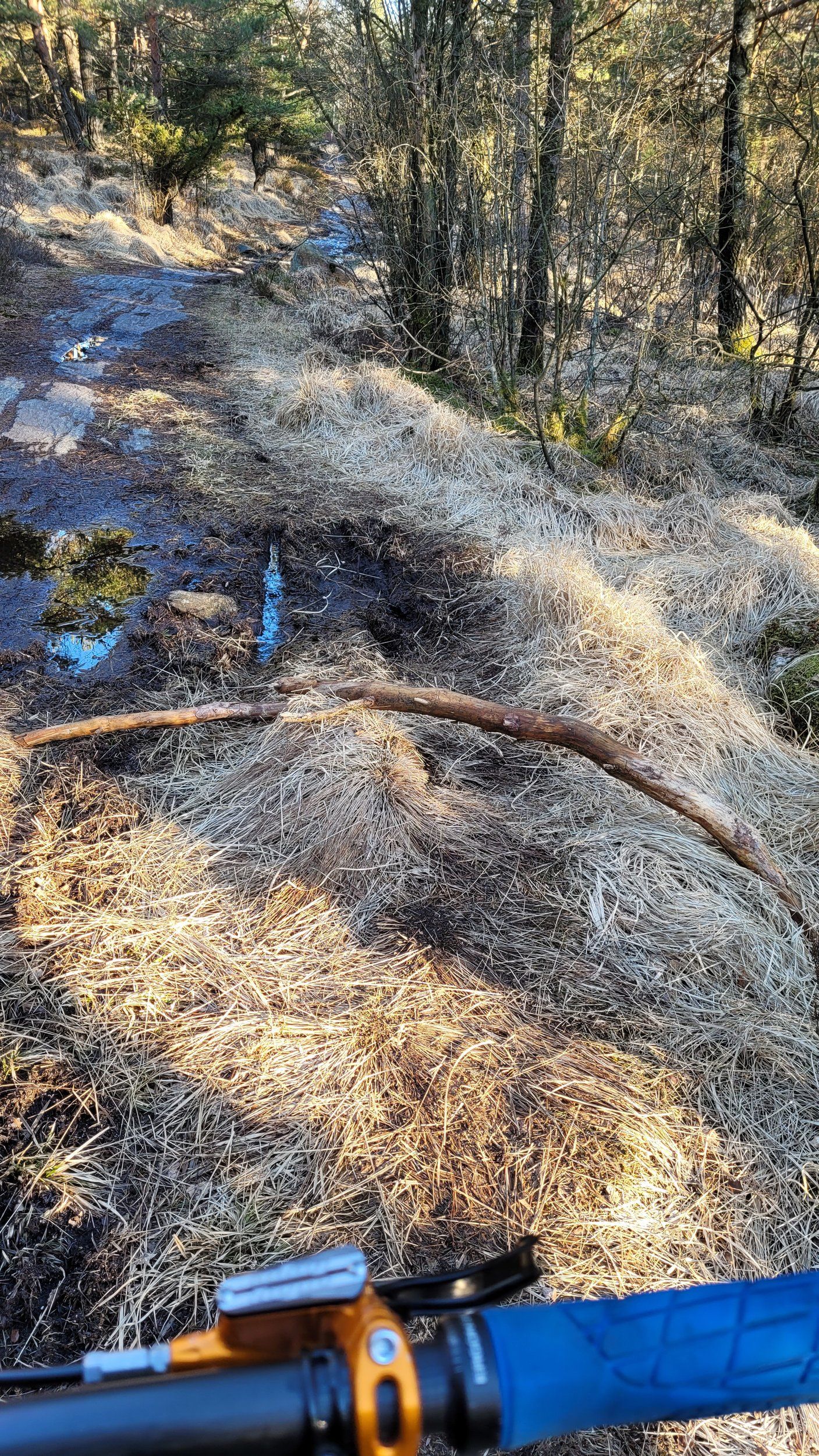 20220415_185431.jpg