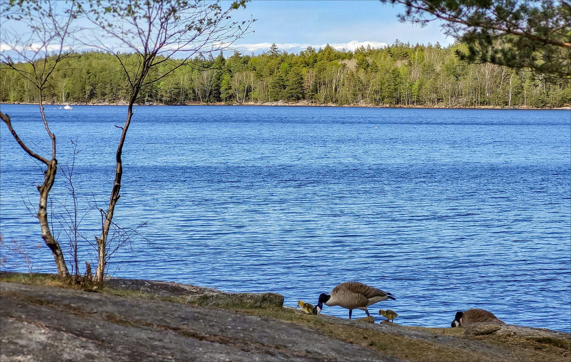 20220507_151720.jpg