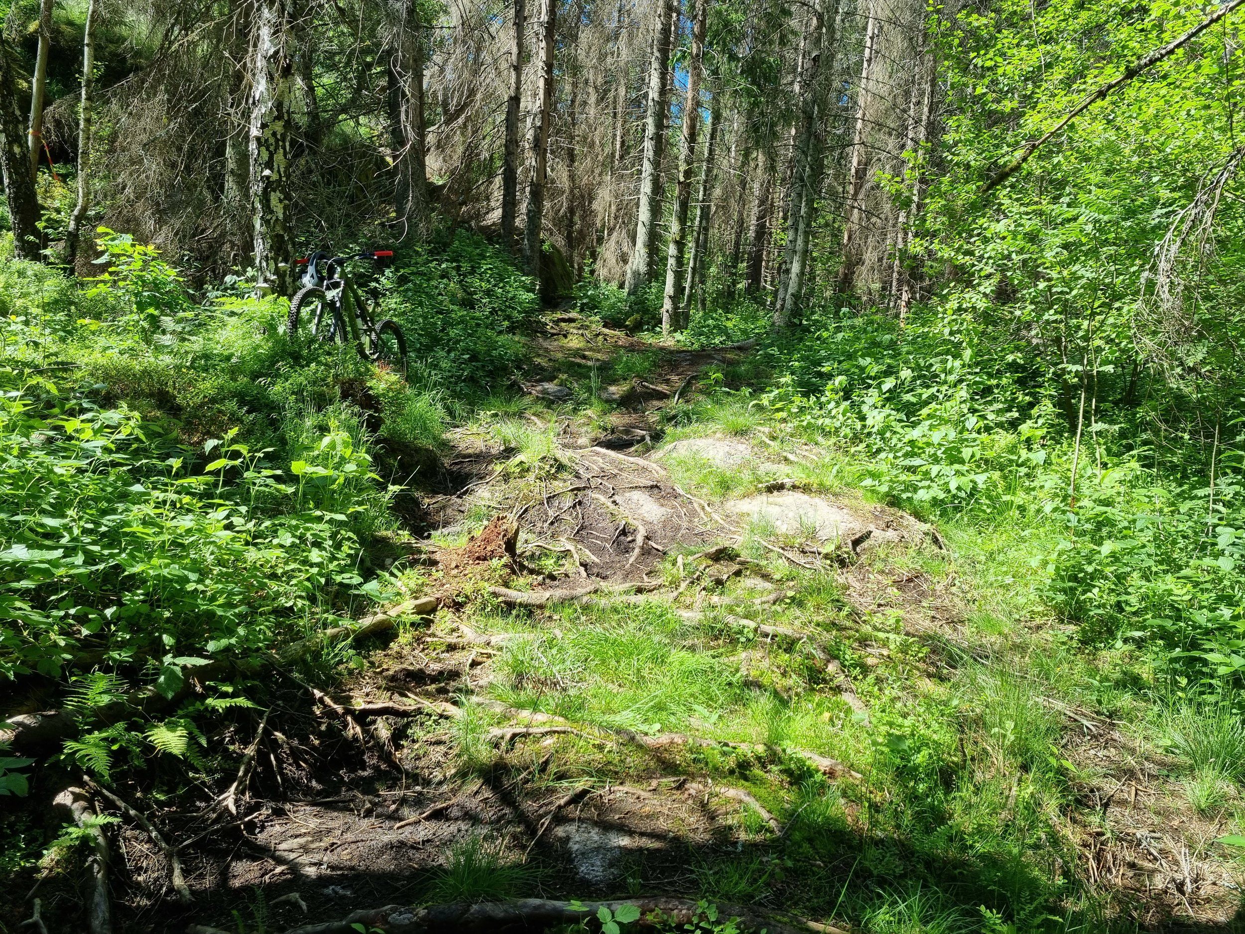 20220623_113605.jpg