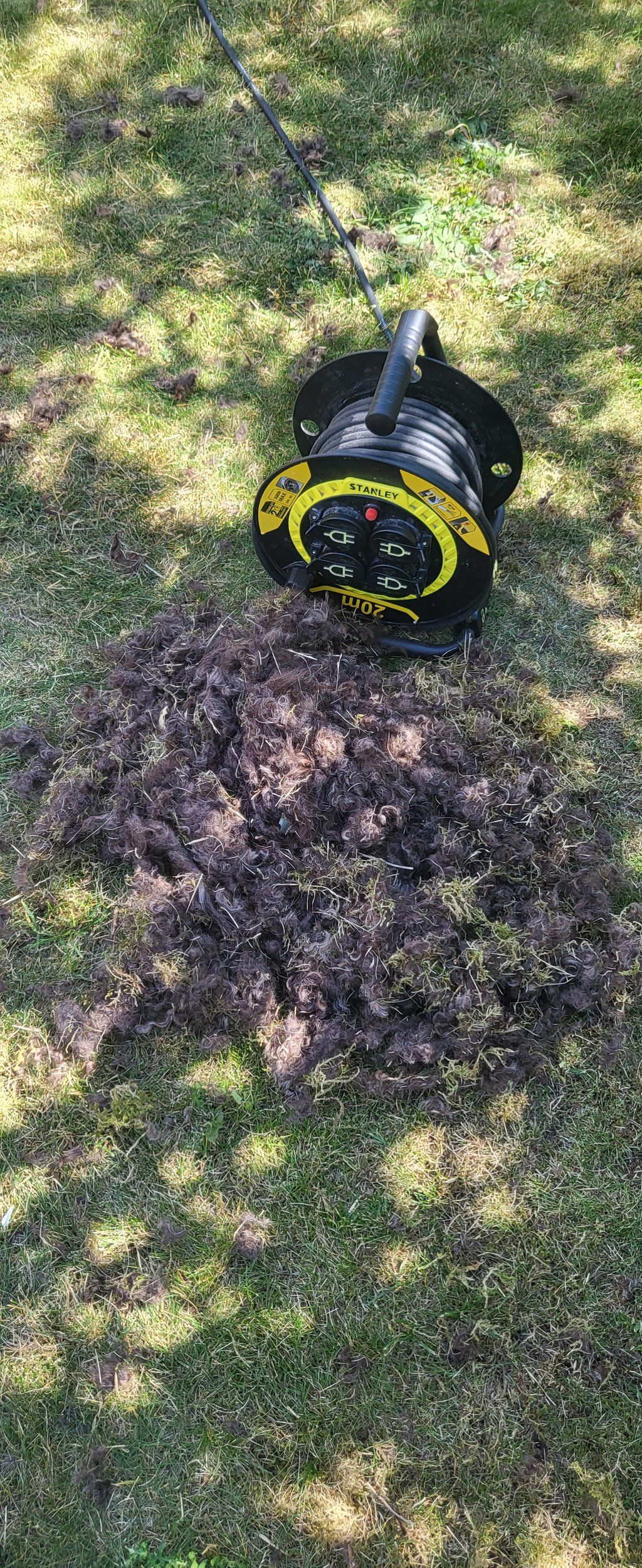 20220625_121341.jpg