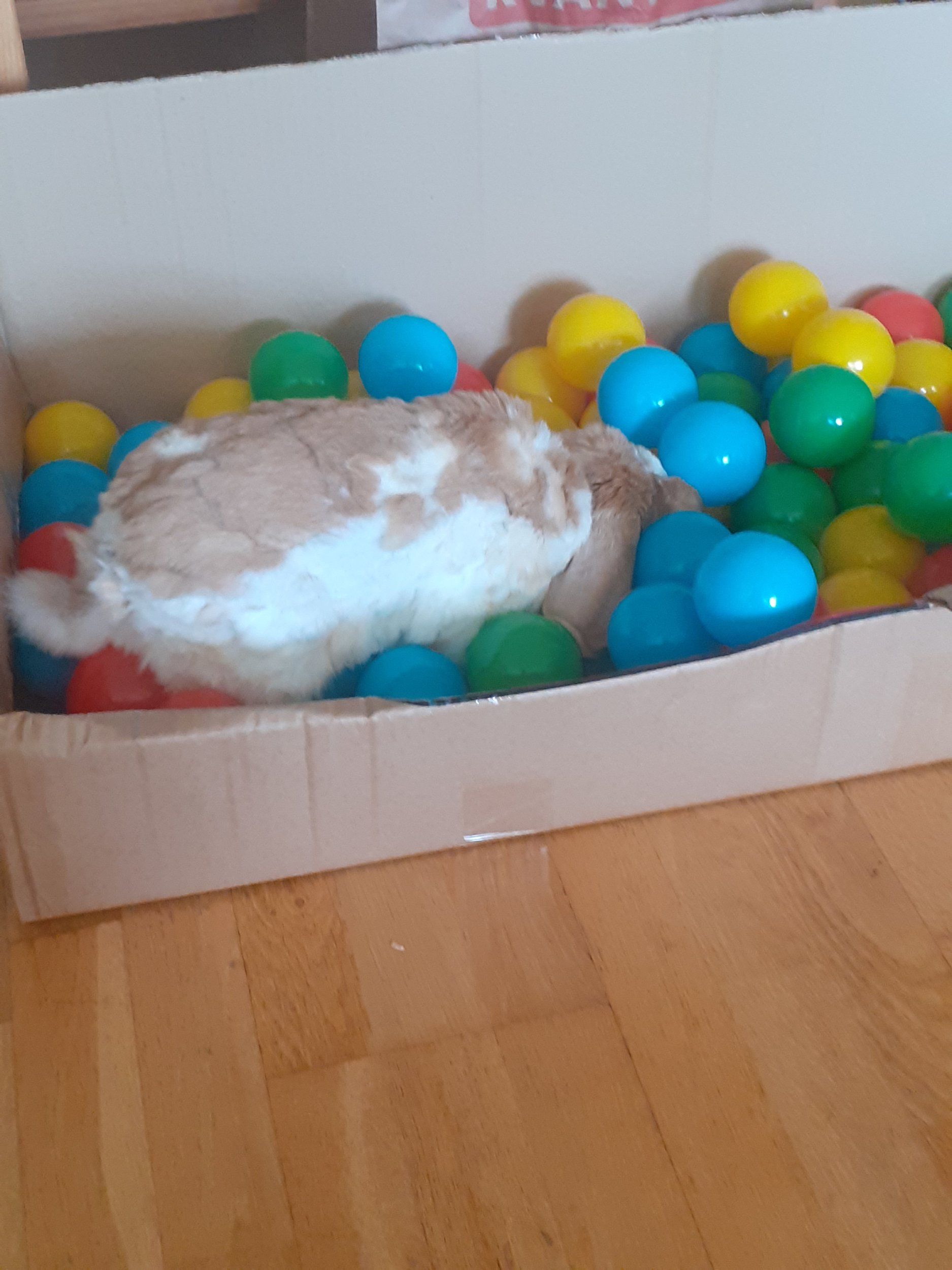 20220711_190239.jpg