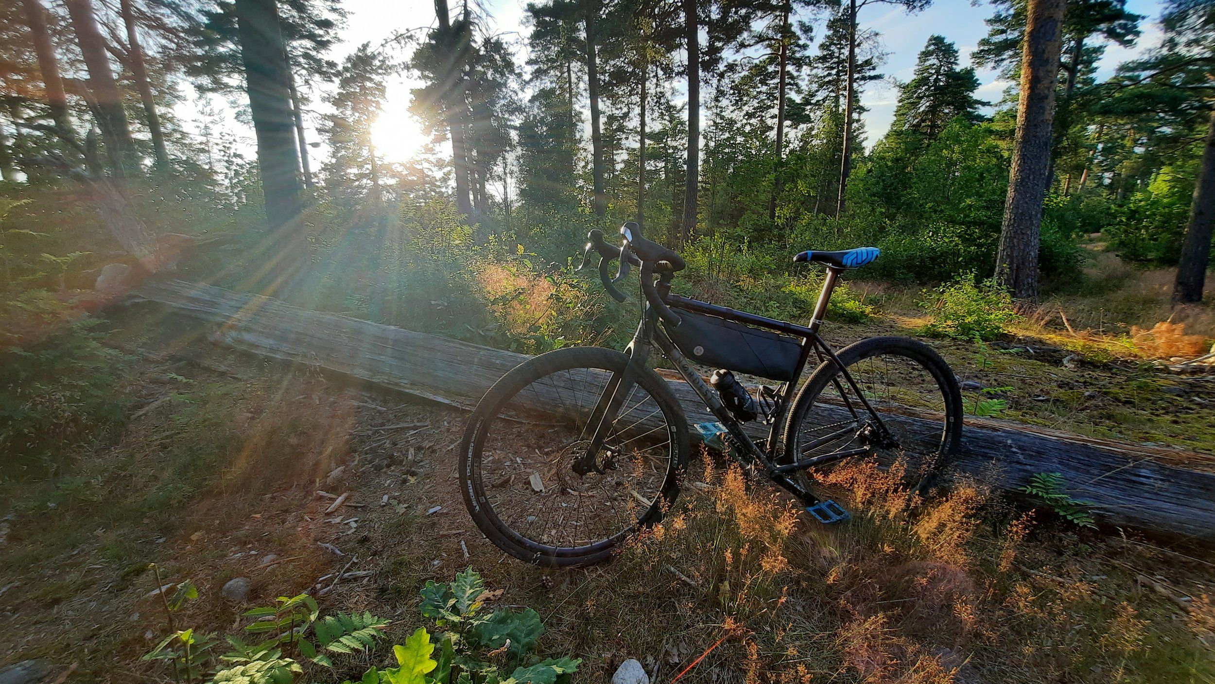 20220718_202106.jpg