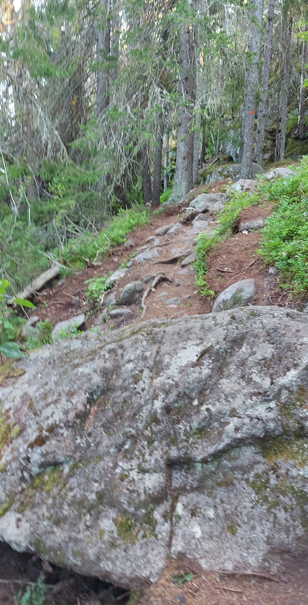 20220720_184108.webp