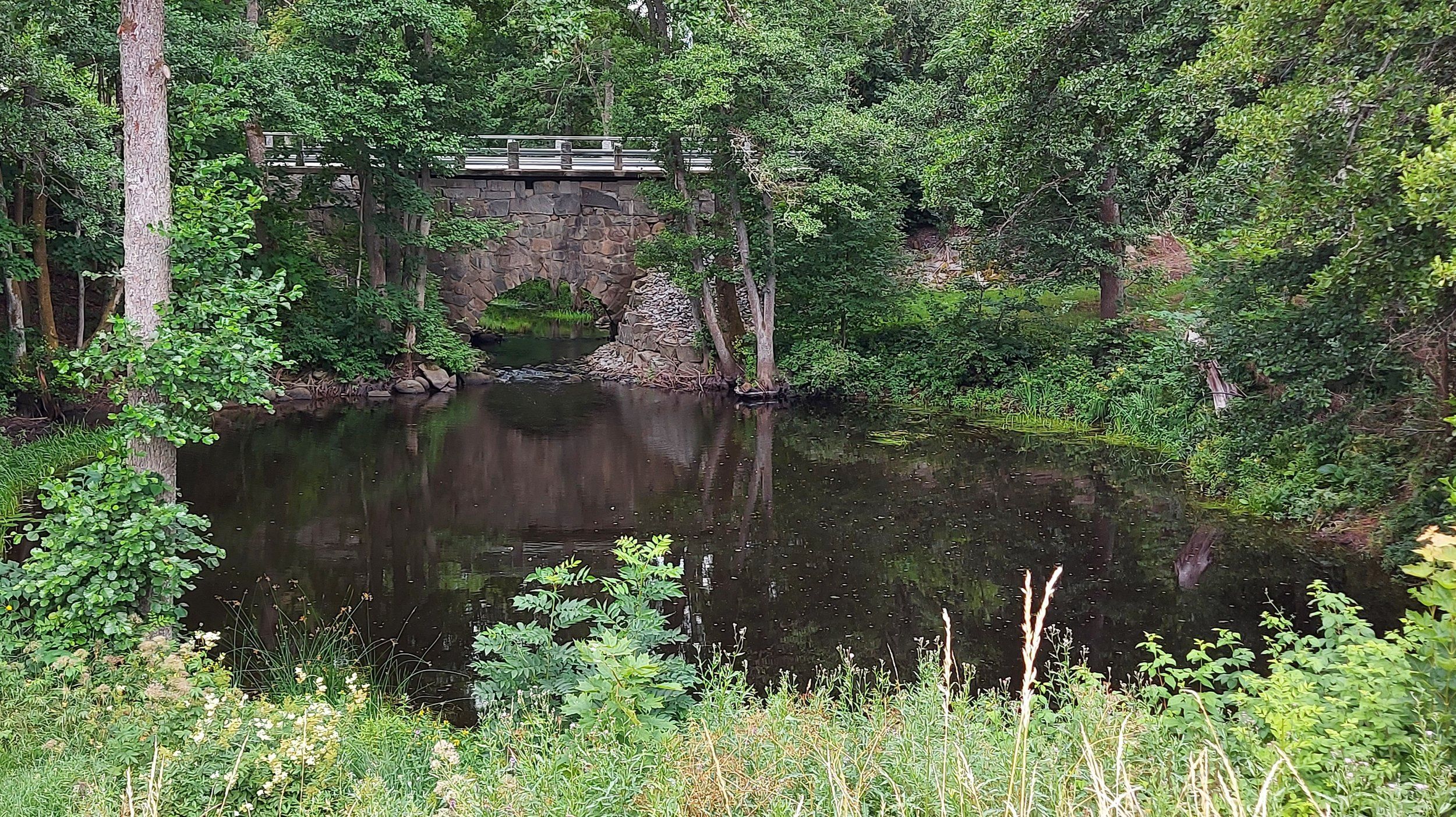 20220725_125601.jpg